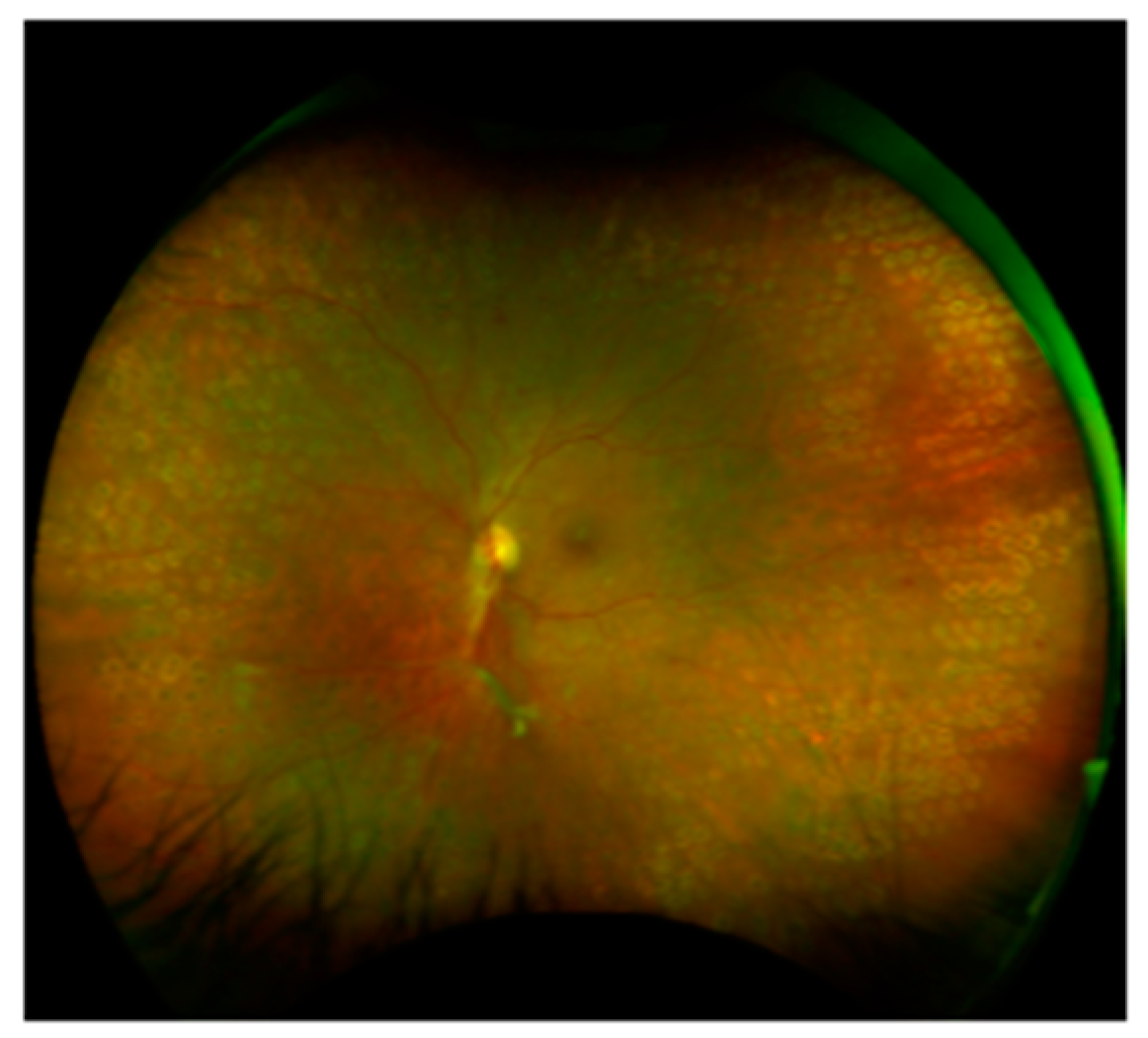 Medicina 58 01870 g002