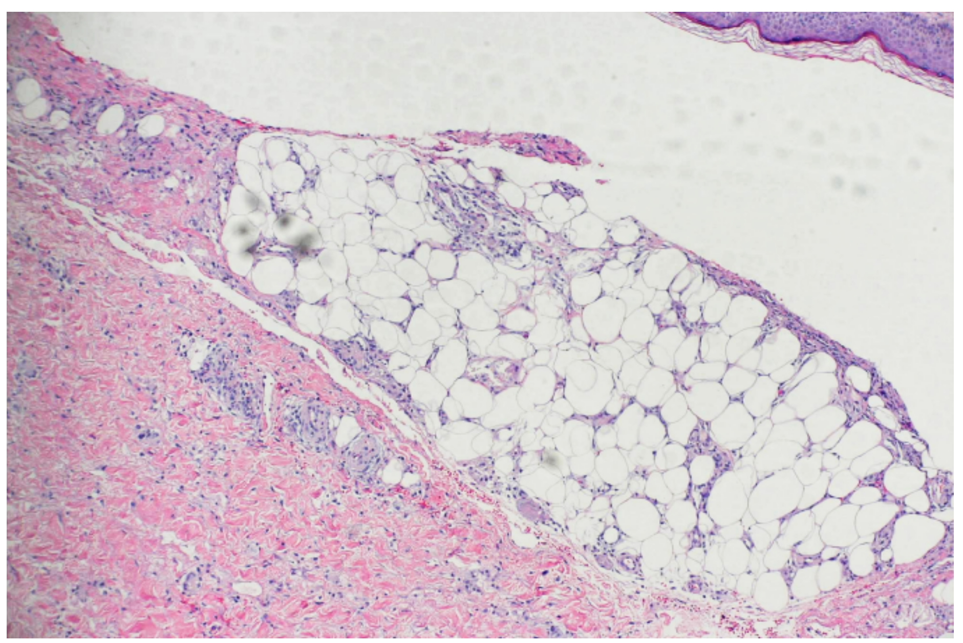 Medicina 58 01873 g002