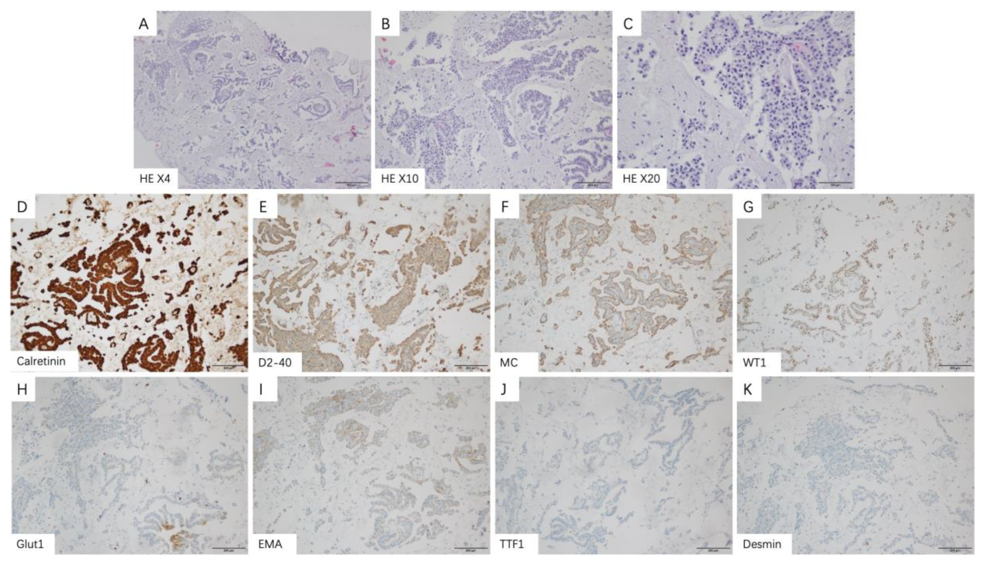 Medicina 58 01874 g003 Medicina 58 01874 g003