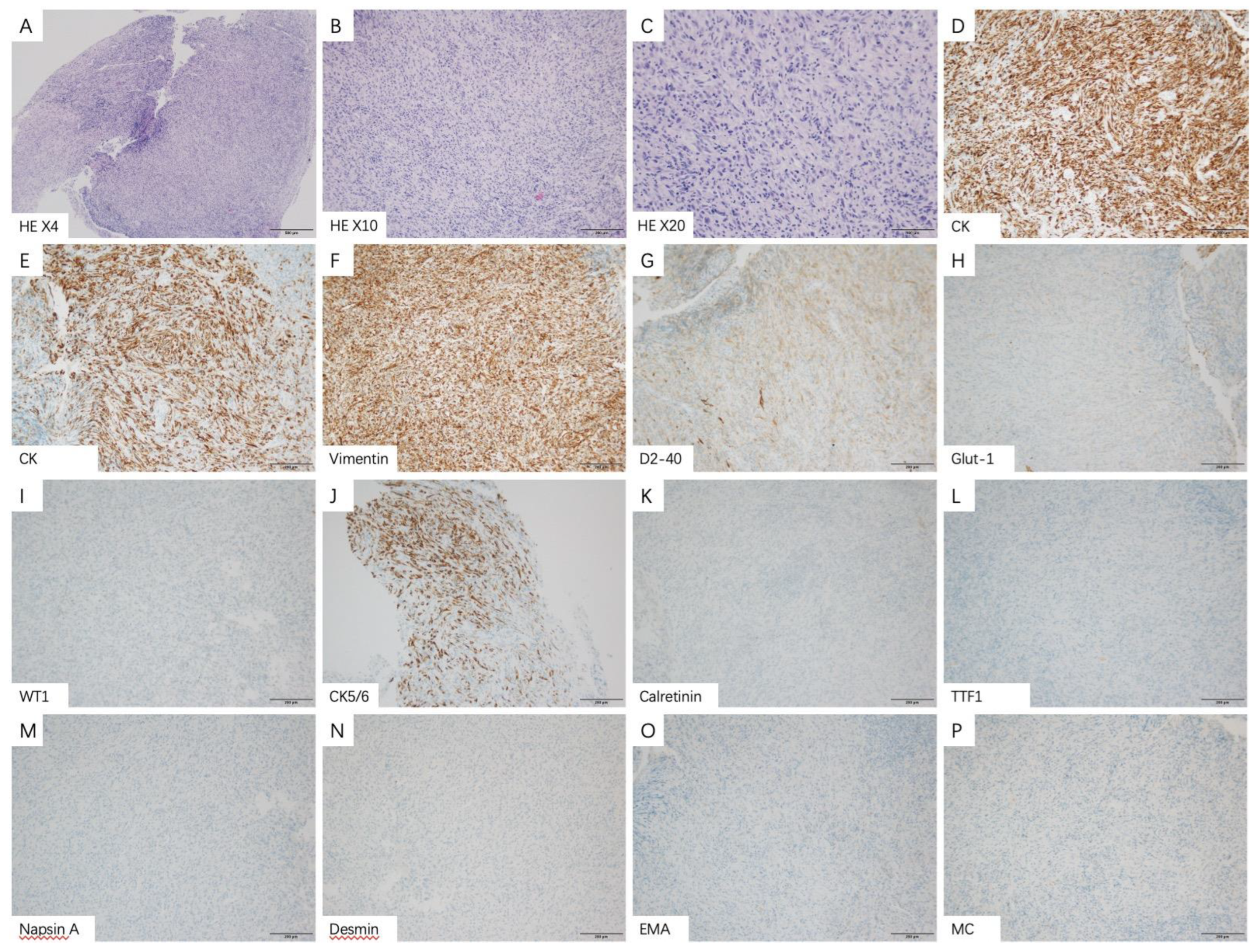 Medicina 58 01874 g004 Medicina 58 01874 g004