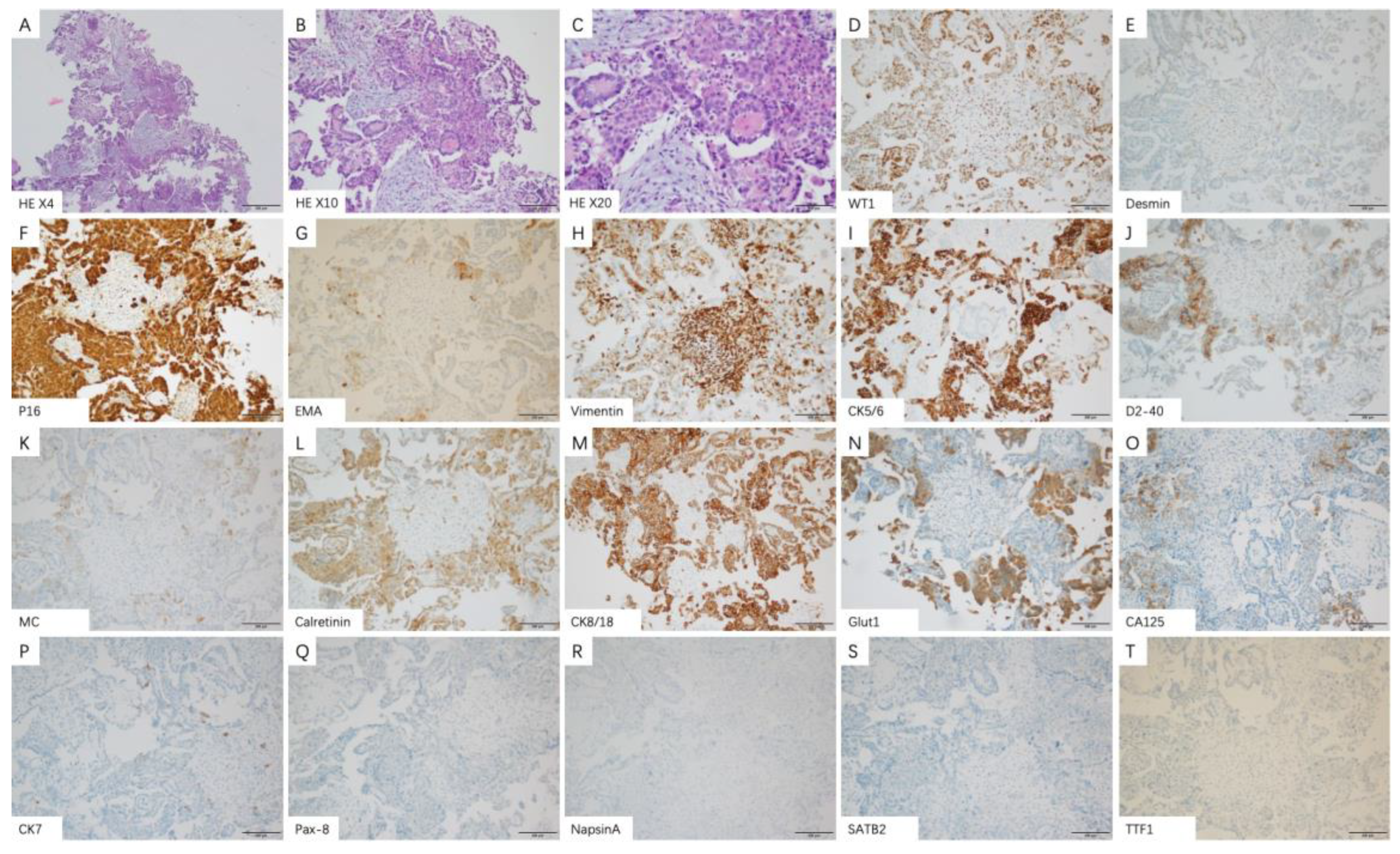 Medicina 58 01874 g005 Medicina 58 01874 g005