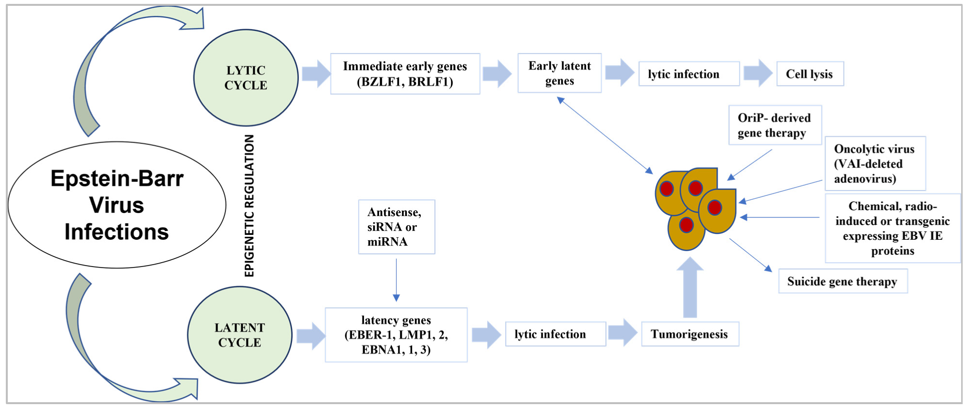 Medicina 59 00002 g002