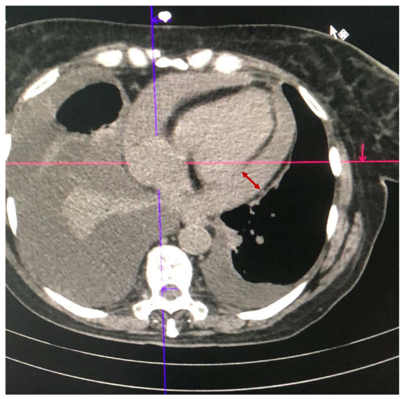 Medicina 59 00003 g001 550