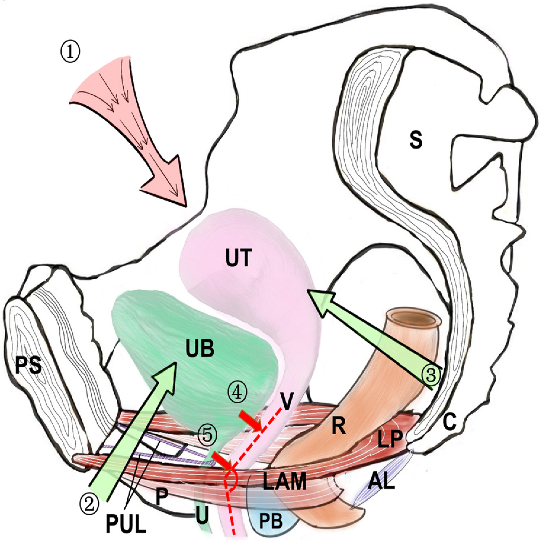 Medicina 59 00005 g002 Medicina 59 00005 g002