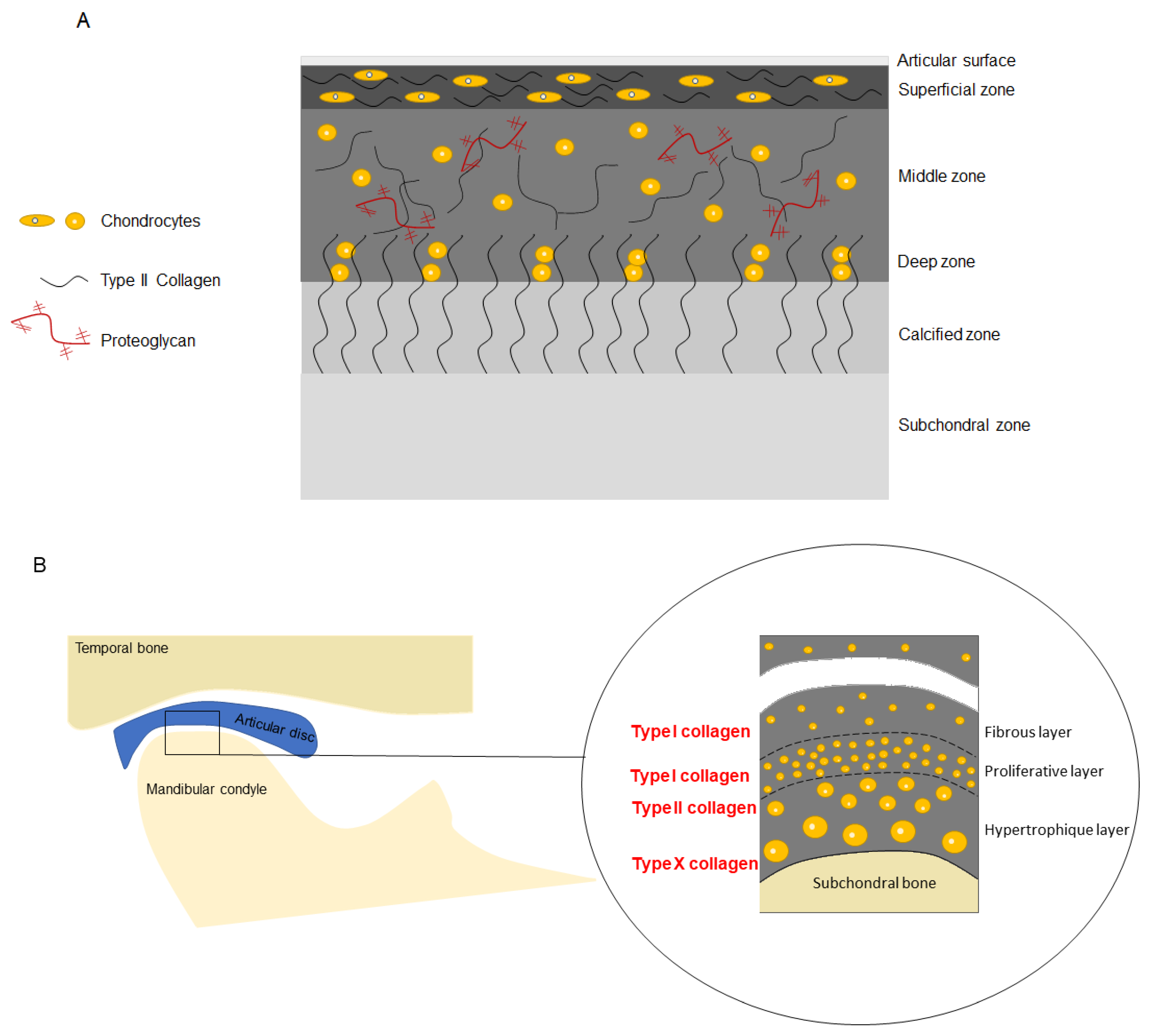 Medicina 59 00008 g002 Medicina 59 00008 g002