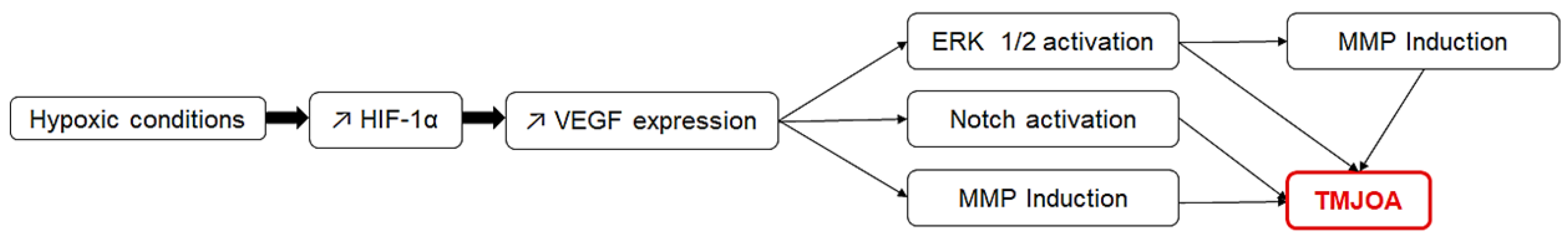 Medicina 59 00008 g003 Medicina 59 00008 g003