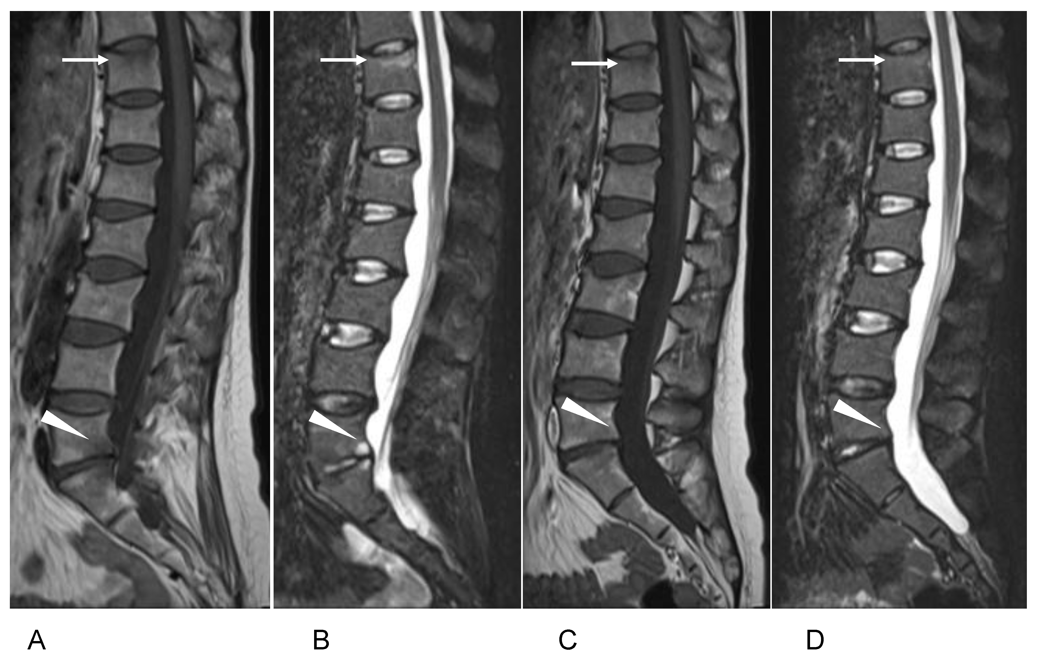 Medicina 59 00019 g002