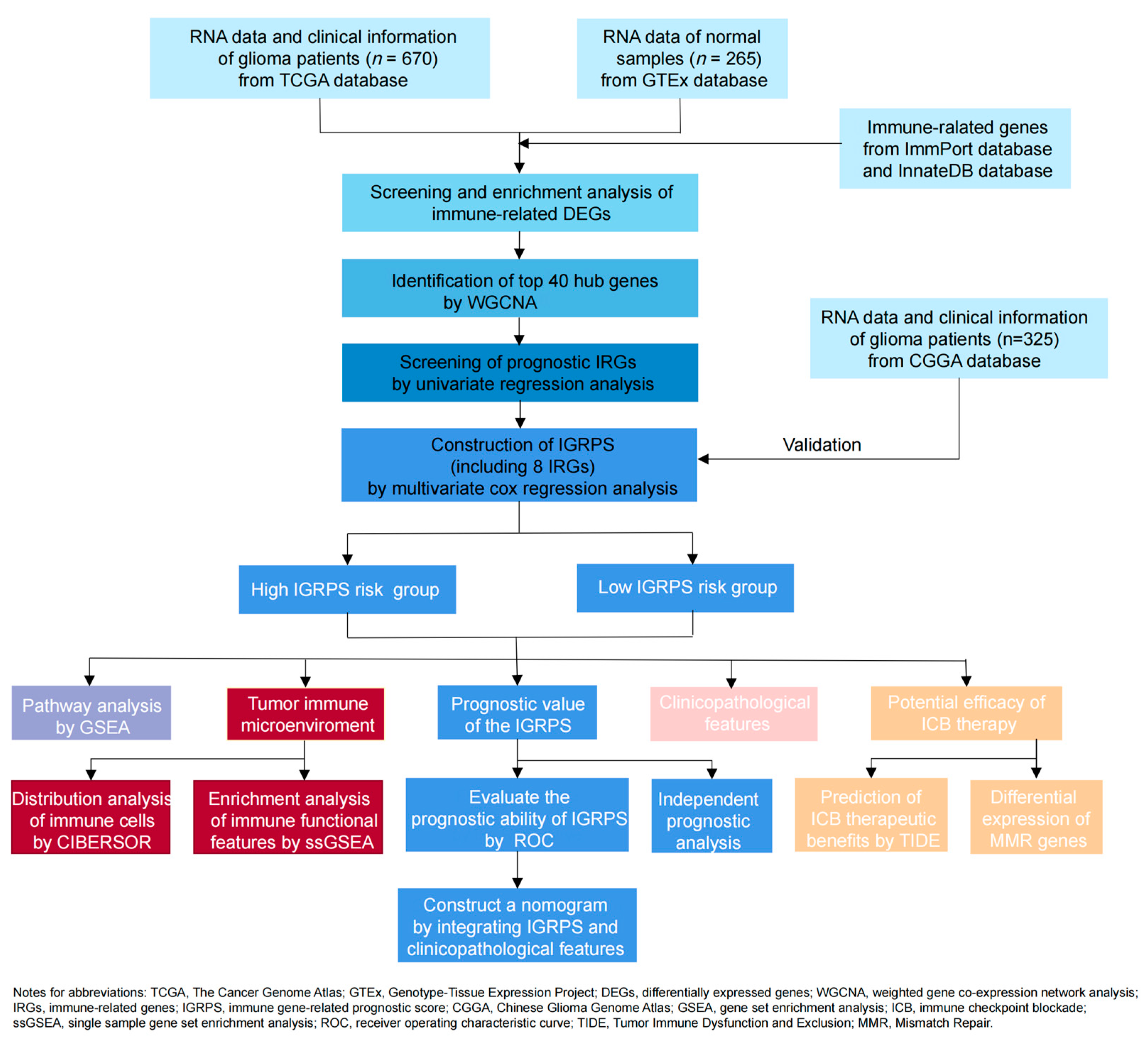 Medicina 59 00023 g001 Medicina 59 00023 g001