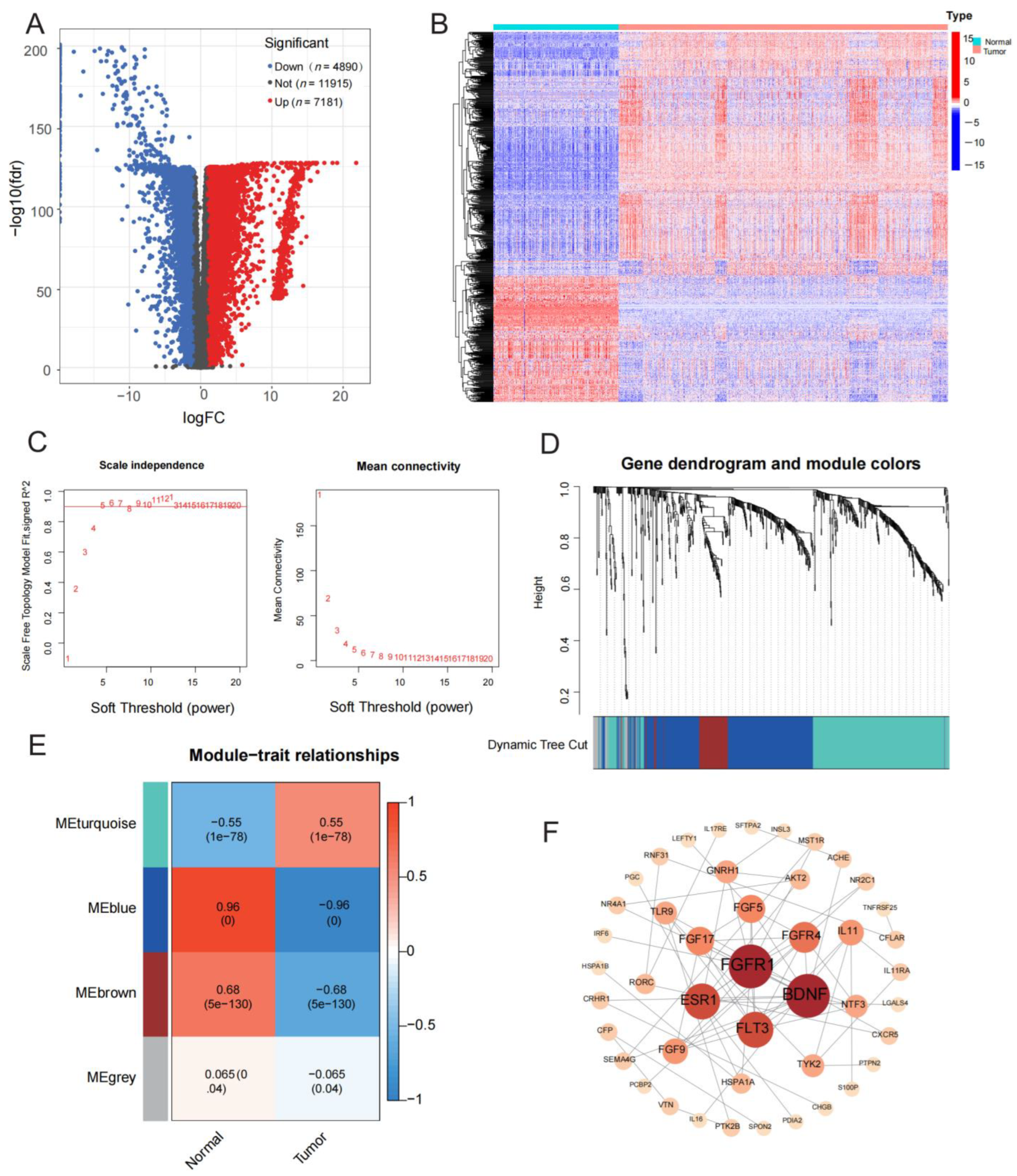 Medicina 59 00023 g002 Medicina 59 00023 g002