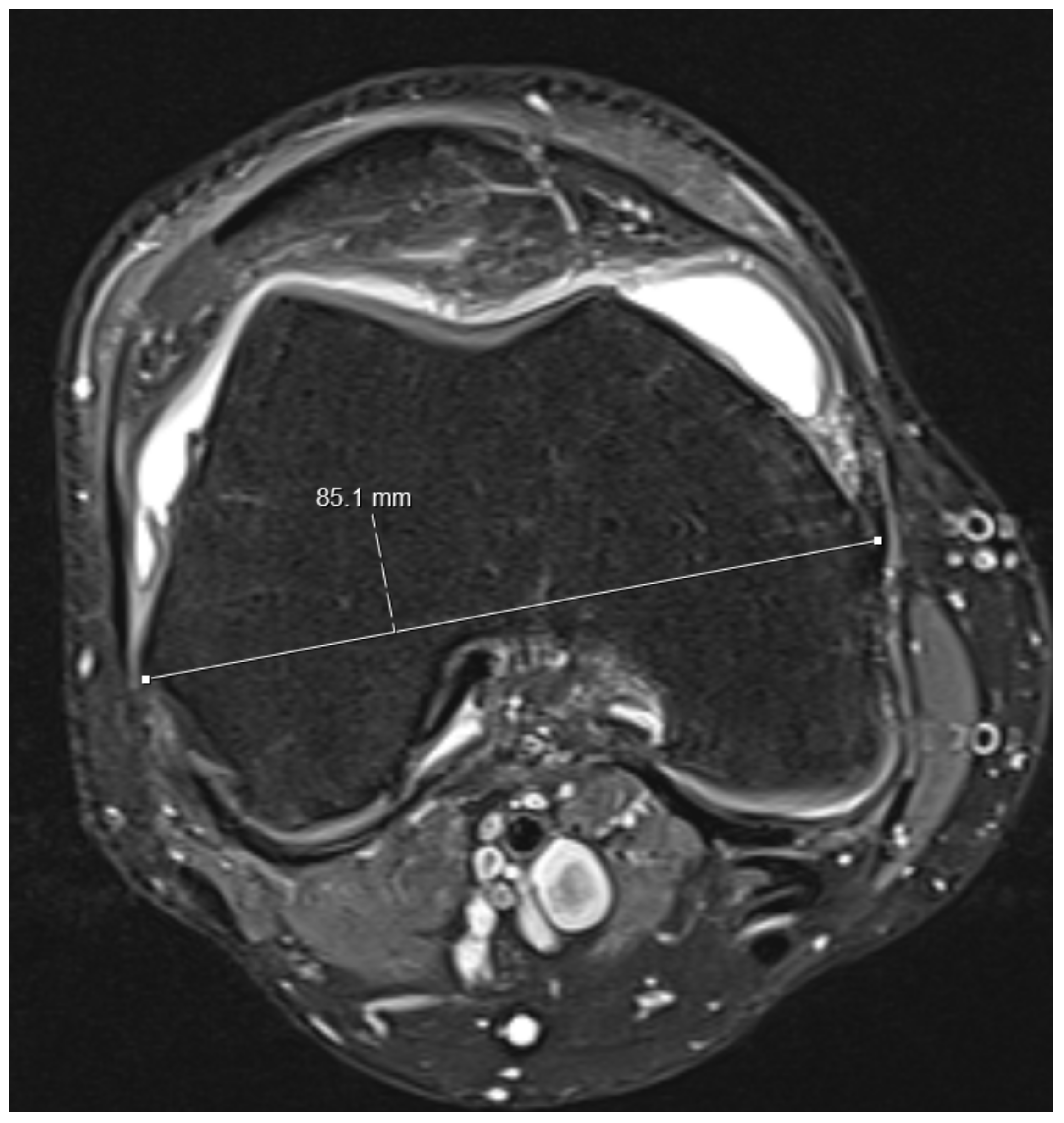 Medicina 59 00027 g003