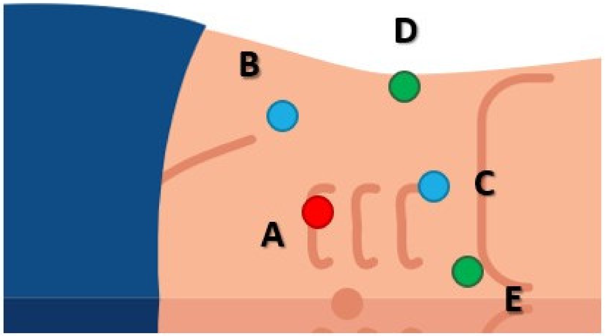 Medicina 59 00033 g002