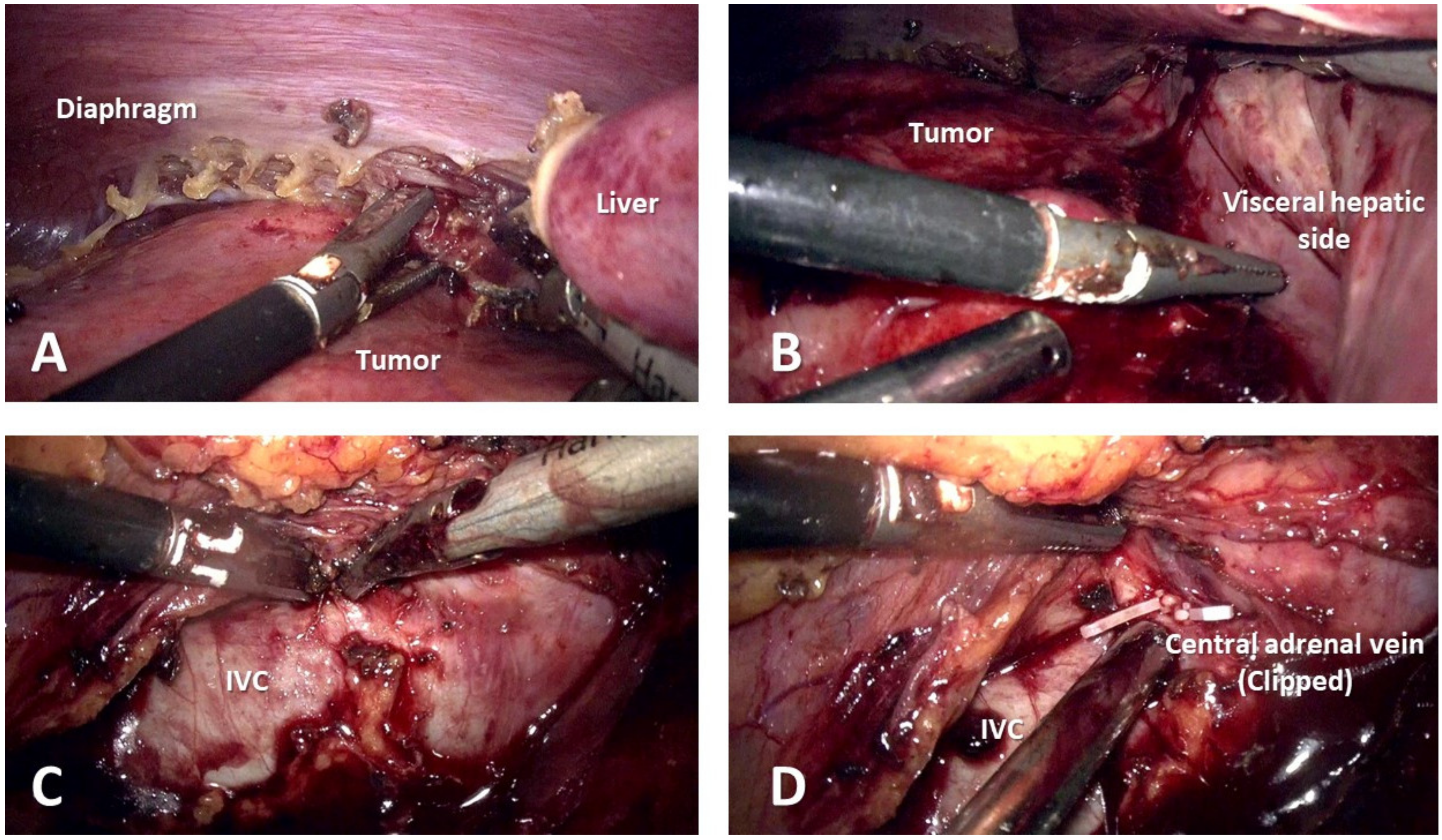 Medicina 59 00033 g003
