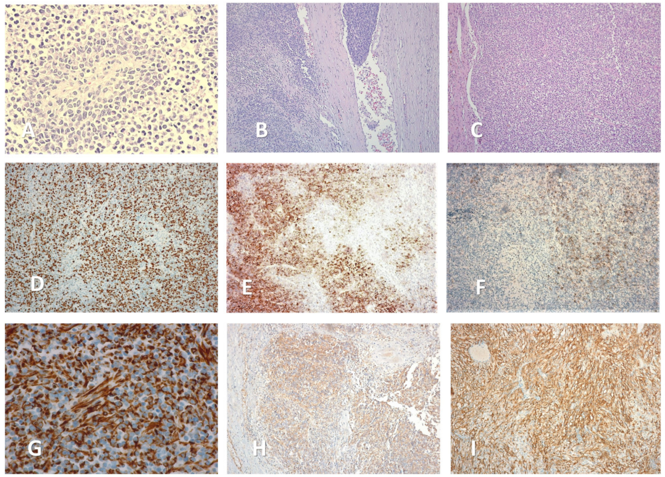 Medicina 59 00033 g004