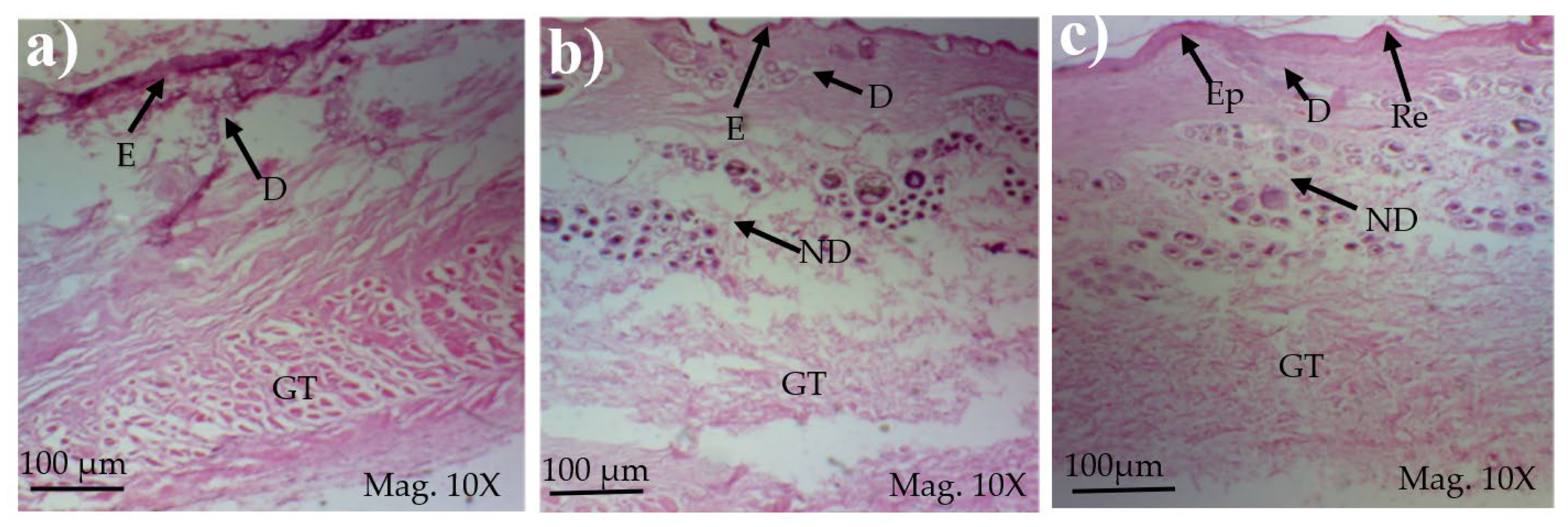 Medicina 59 00034 g005