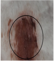 Medicina 59 00034 i001