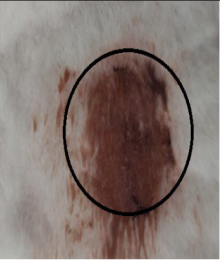 Medicina 59 00034 i002