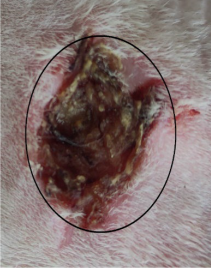 Medicina 59 00034 i008