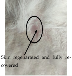 Medicina 59 00034 i012