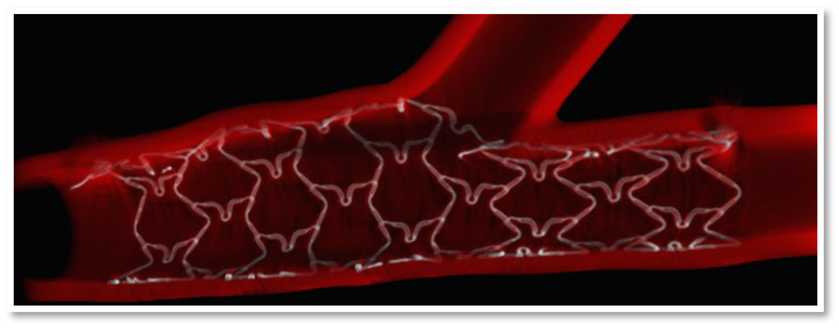 Medicina 59 00039 g001 Medicina 59 00039 g001