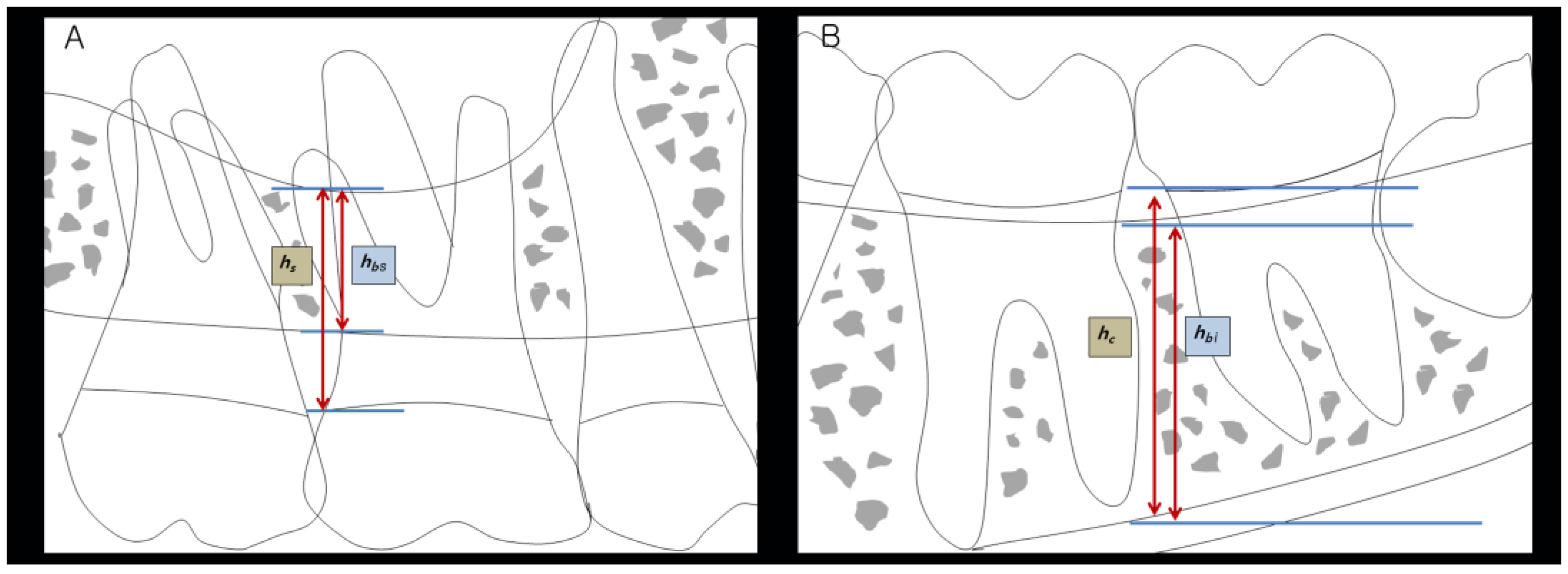 Medicina 59 00040 g001