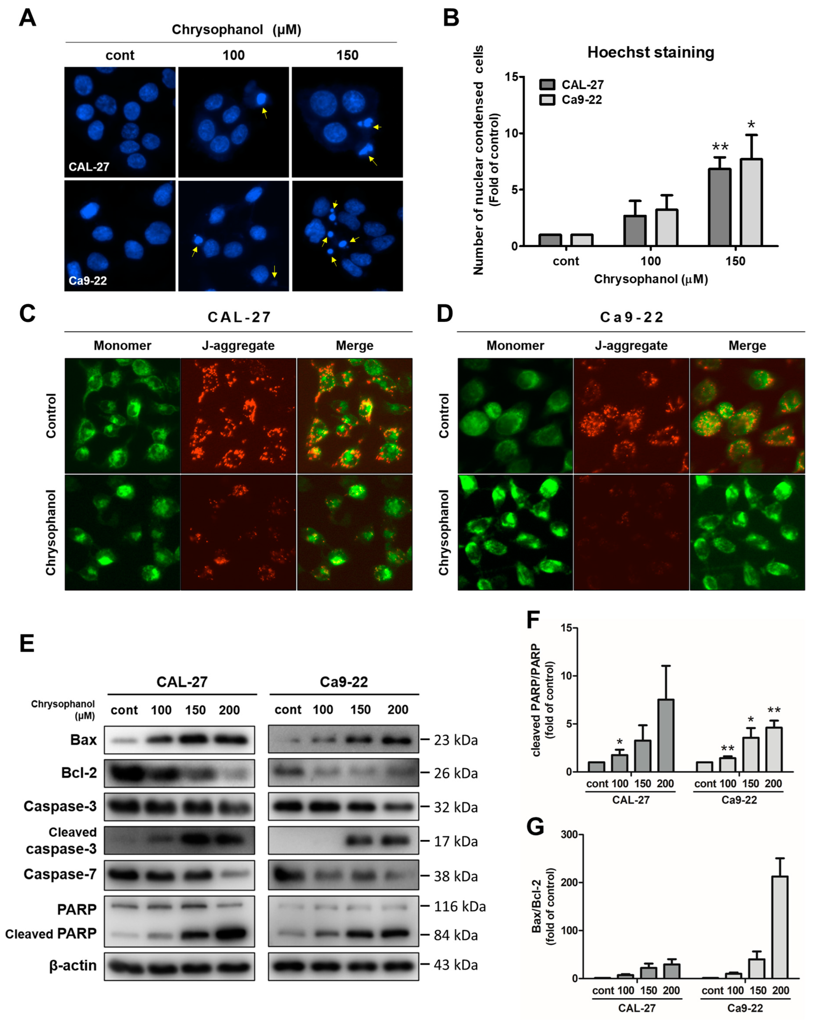 Medicina 59 00042 g003 Medicina 59 00042 g003