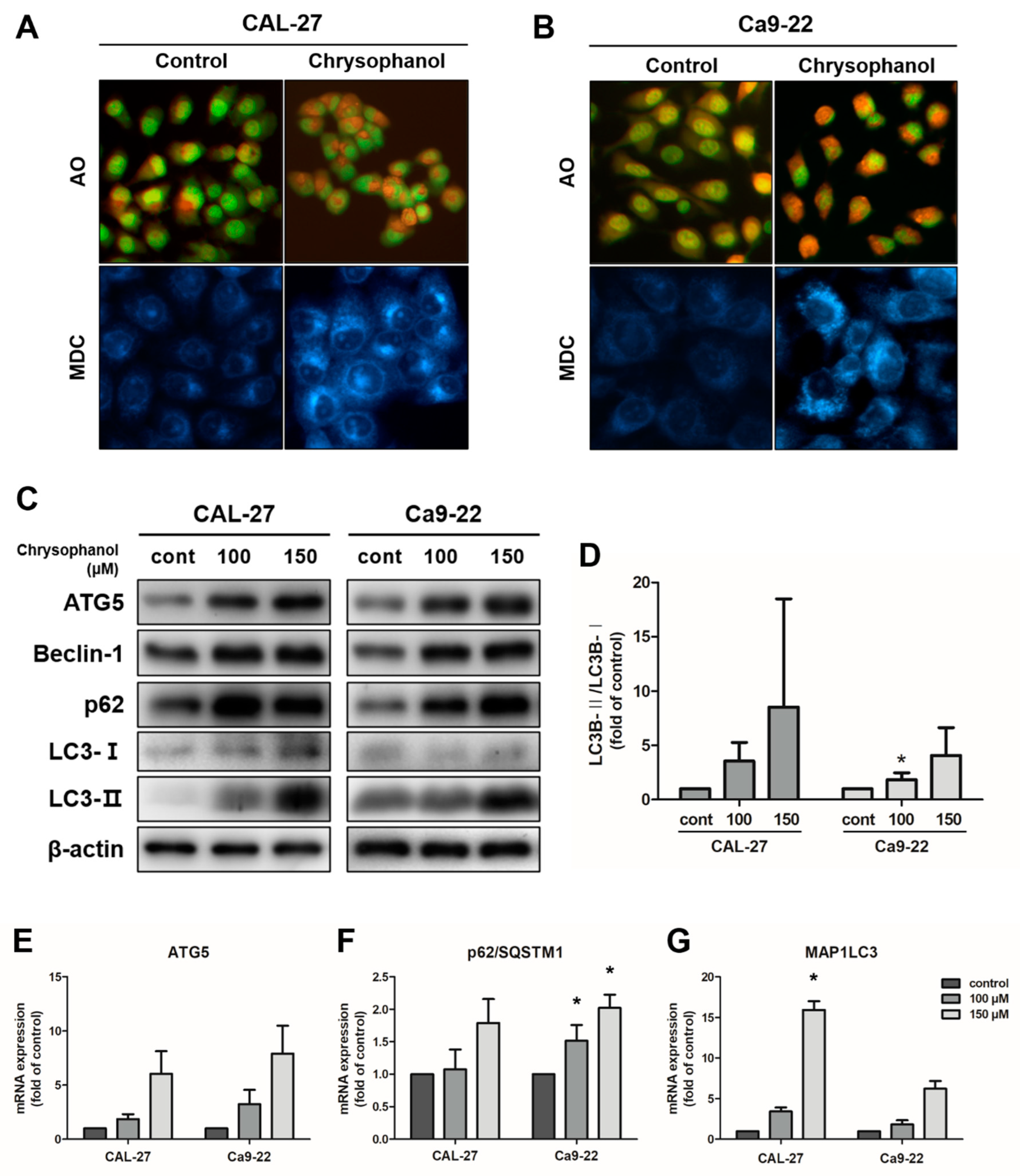 Medicina 59 00042 g004 Medicina 59 00042 g004