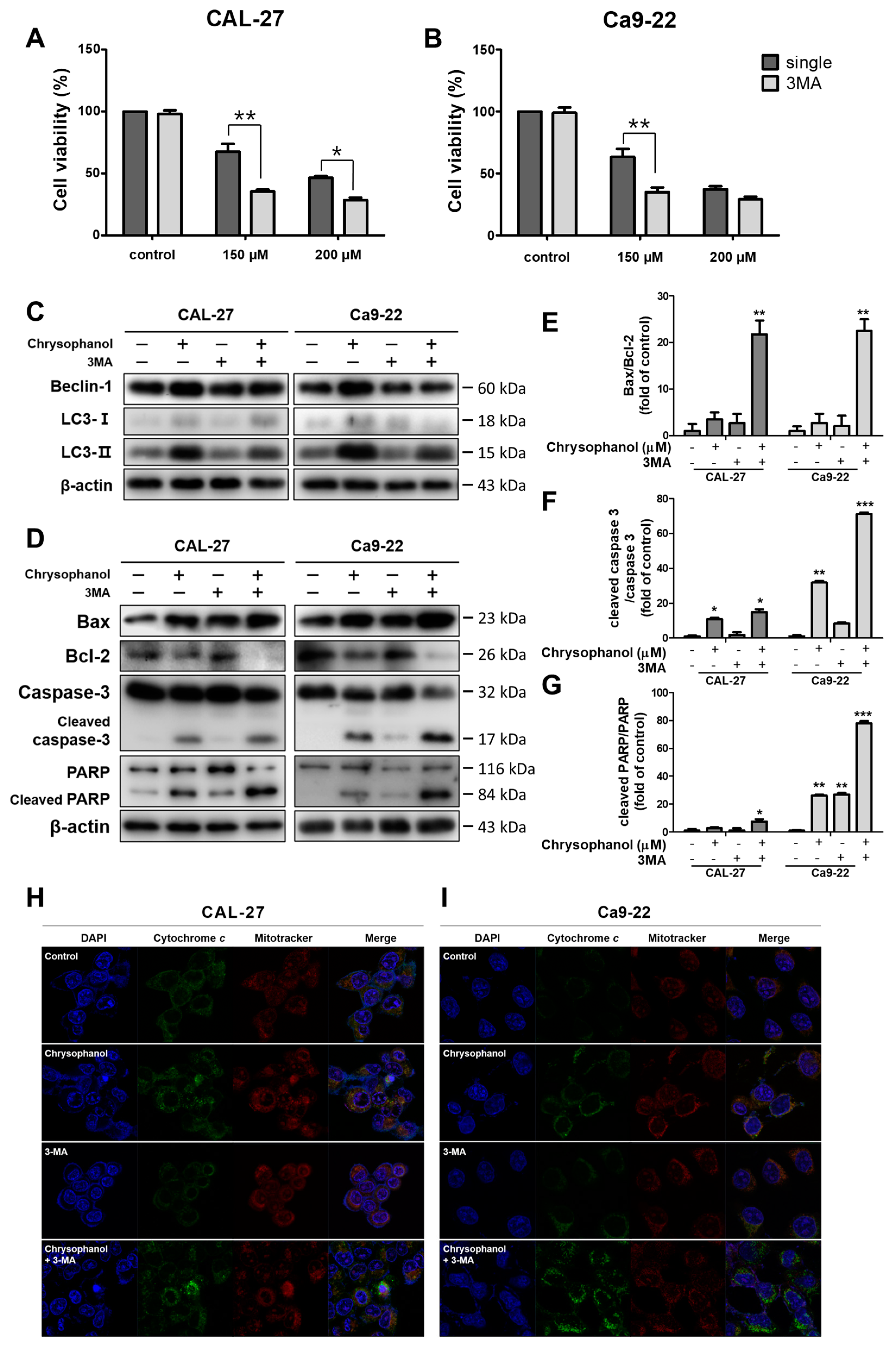 Medicina 59 00042 g005 Medicina 59 00042 g005