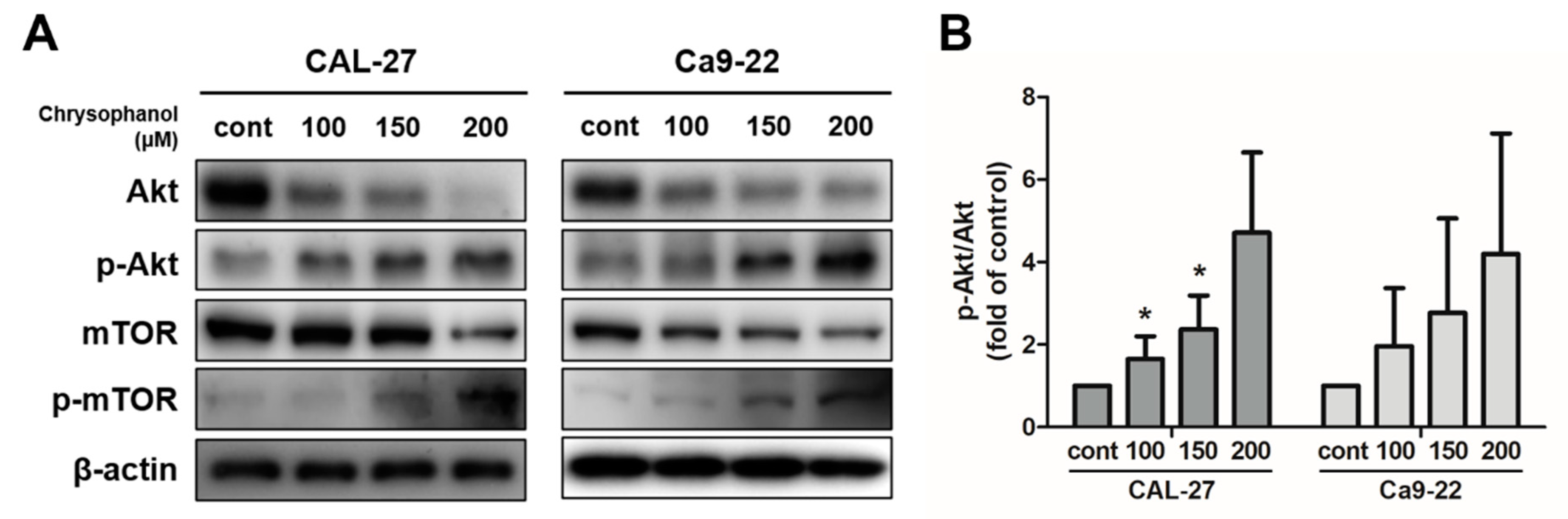 Medicina 59 00042 g006 Medicina 59 00042 g006