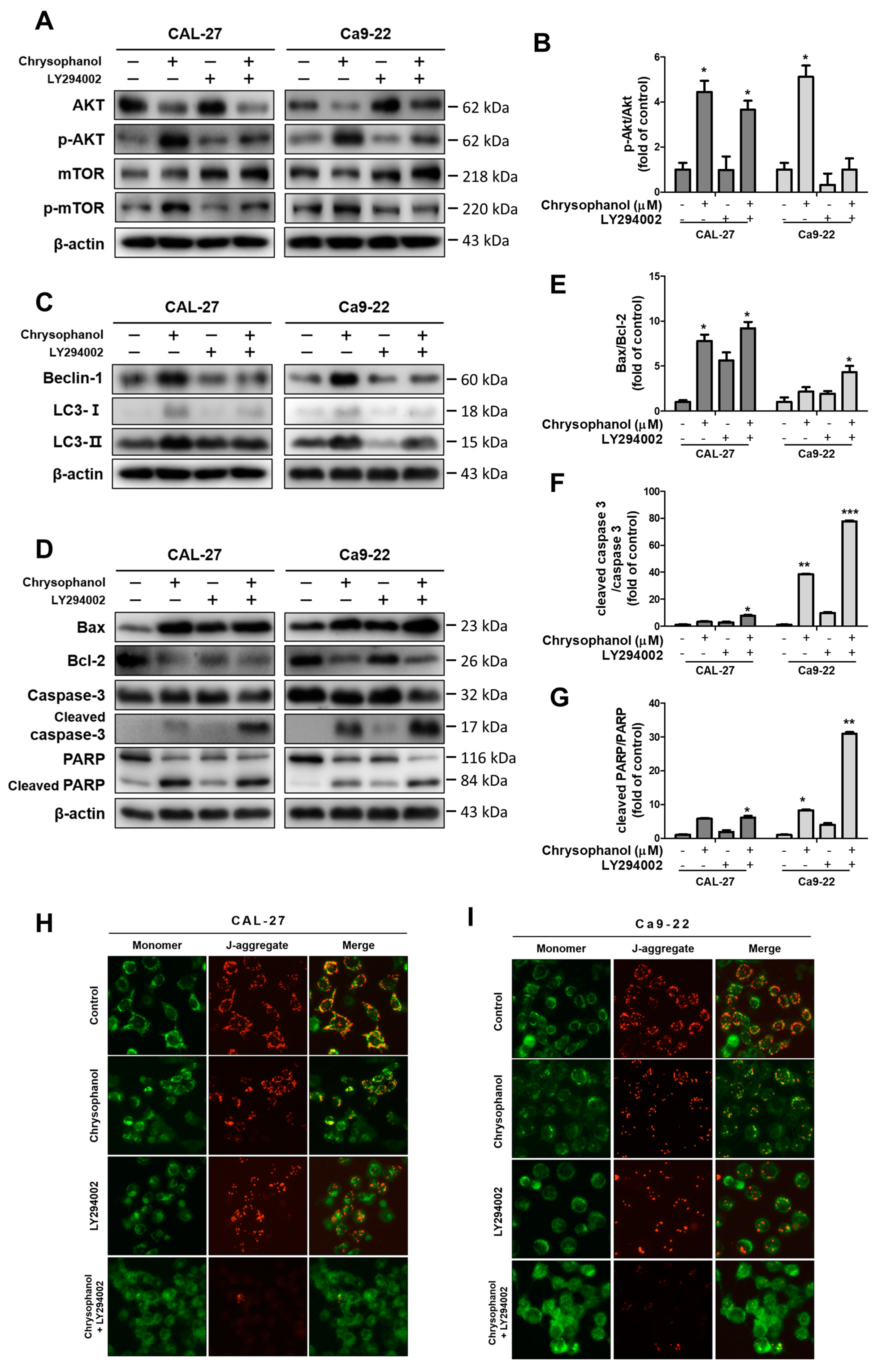 Medicina 59 00042 g007 Medicina 59 00042 g007