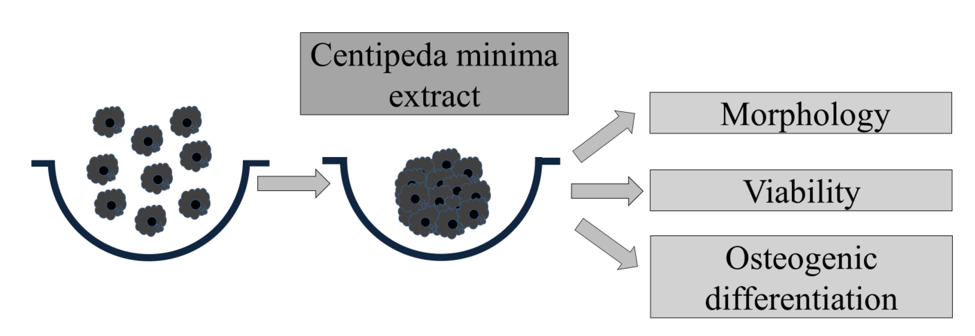 Medicina 59 00043 g001 Medicina 59 00043 g001