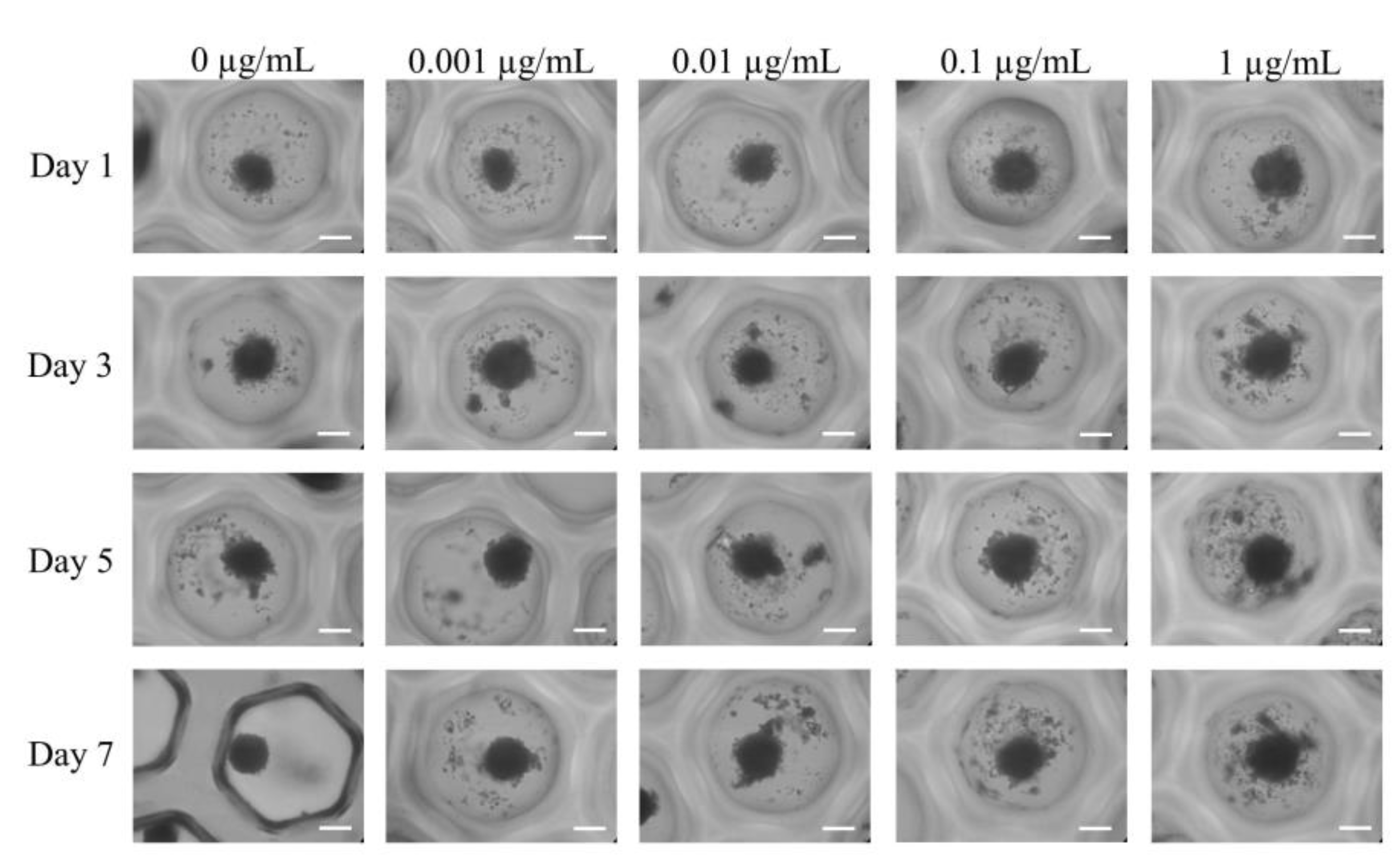 Medicina 59 00043 g002 Medicina 59 00043 g002