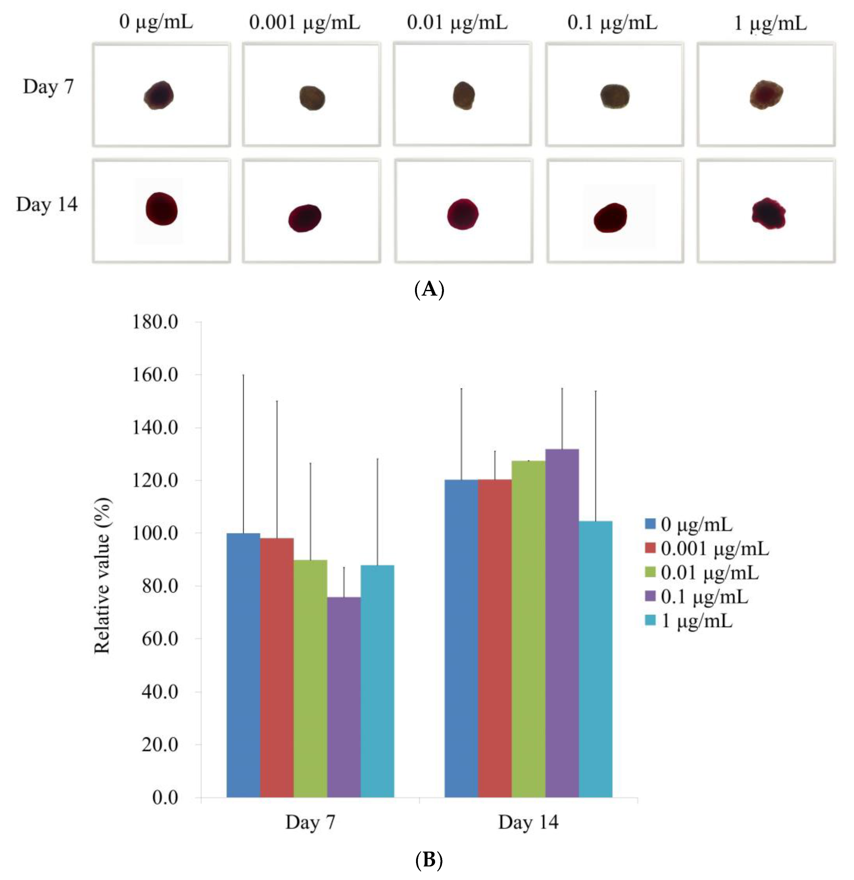Medicina 59 00043 g006 Medicina 59 00043 g006