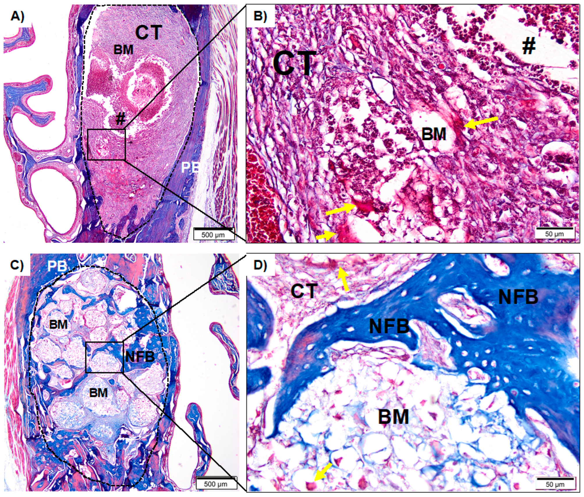 Medicina 59 00046 g005