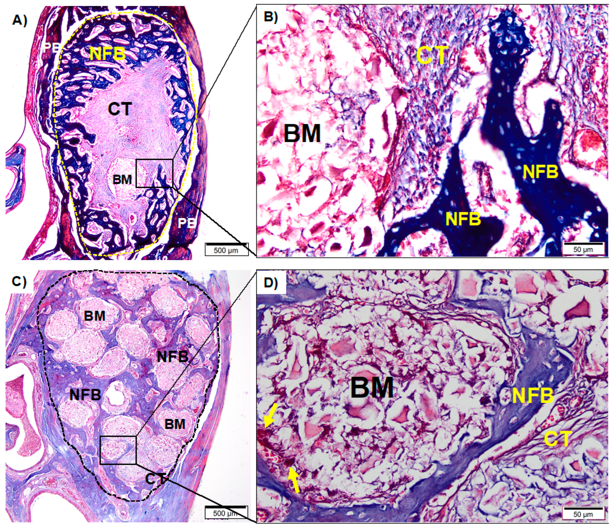 Medicina 59 00046 g006