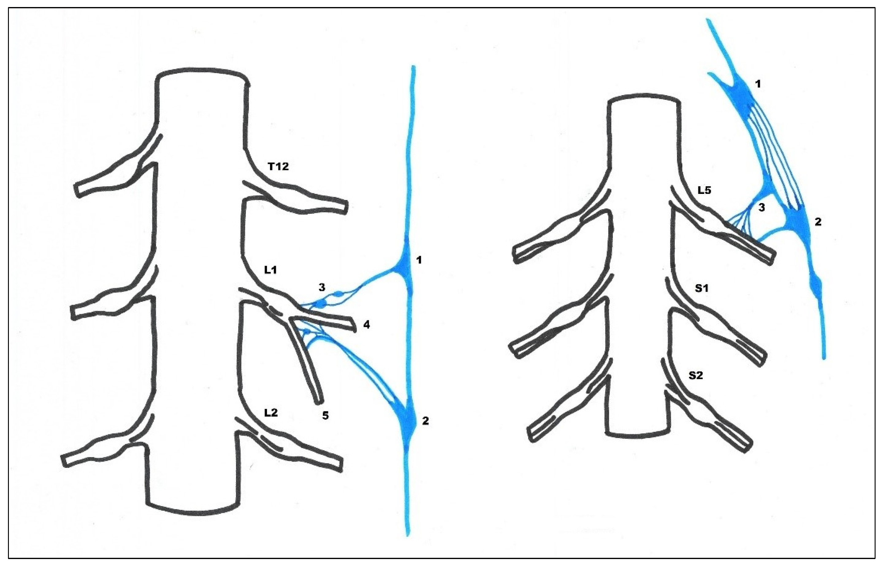 Medicina 59 00072 g002