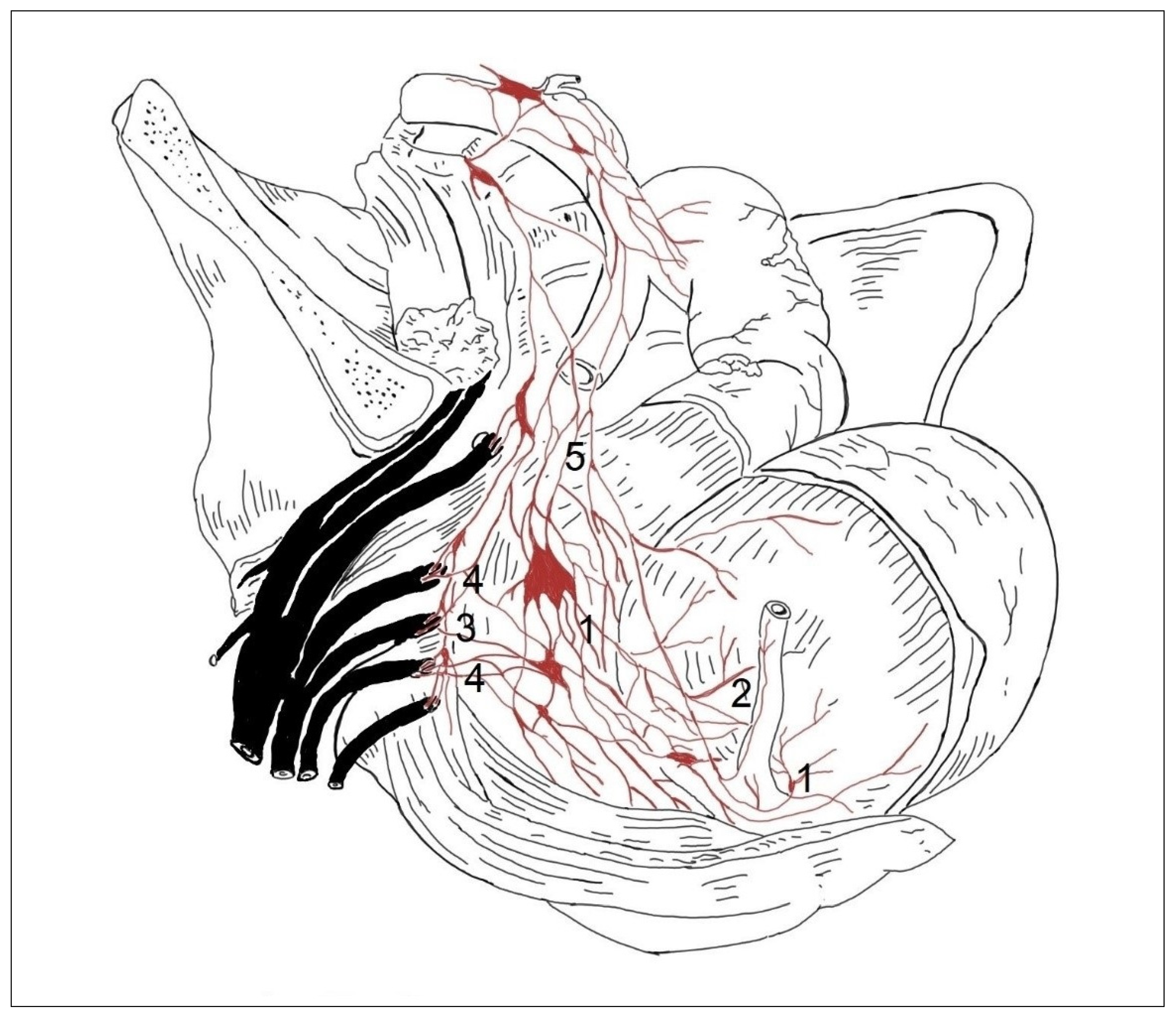 Medicina 59 00072 g003