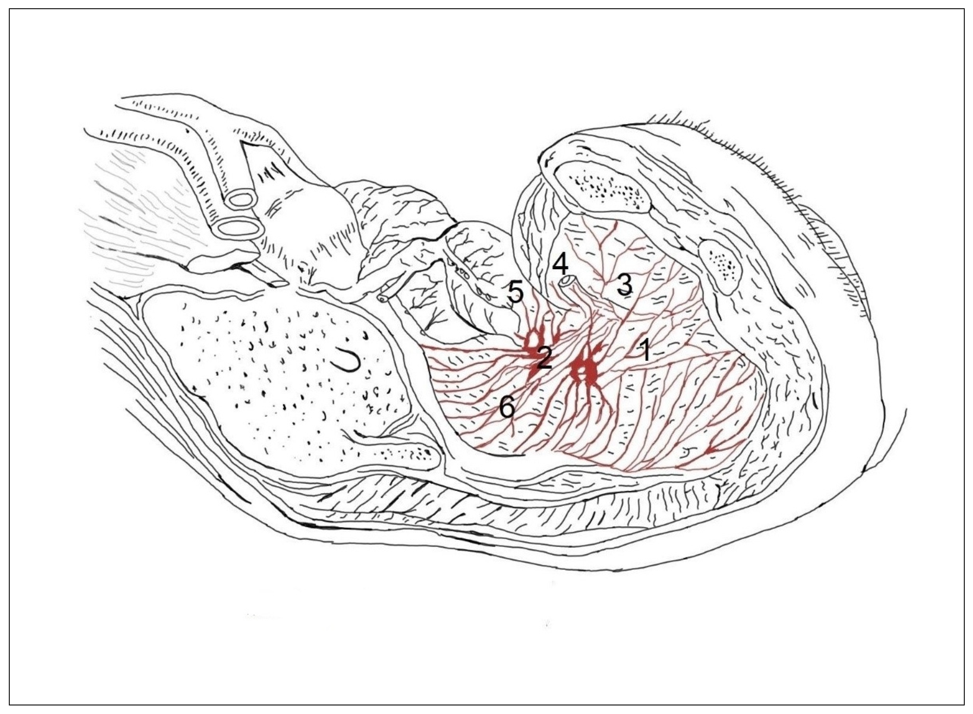 Medicina 59 00072 g004