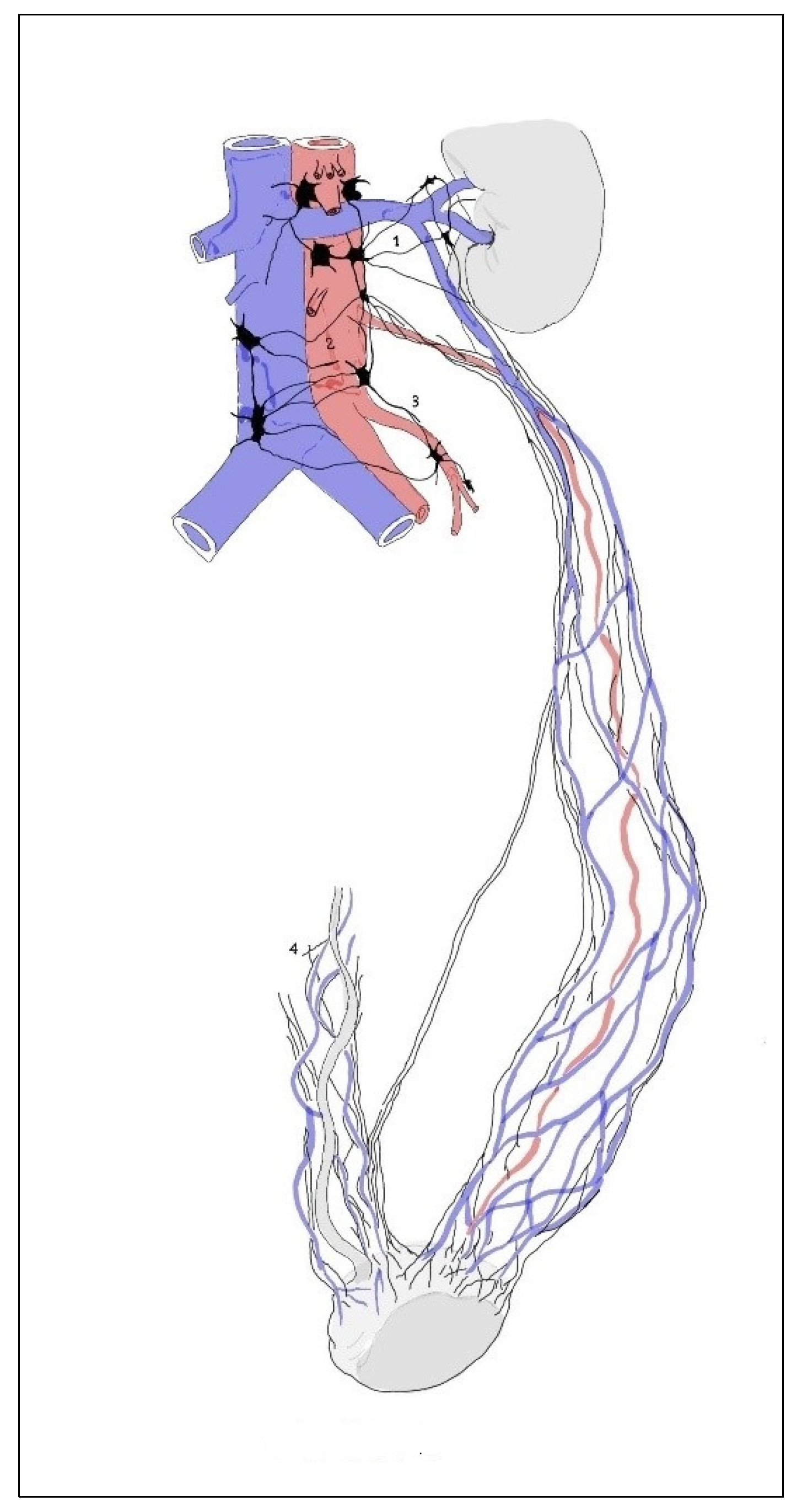 Medicina 59 00072 g007