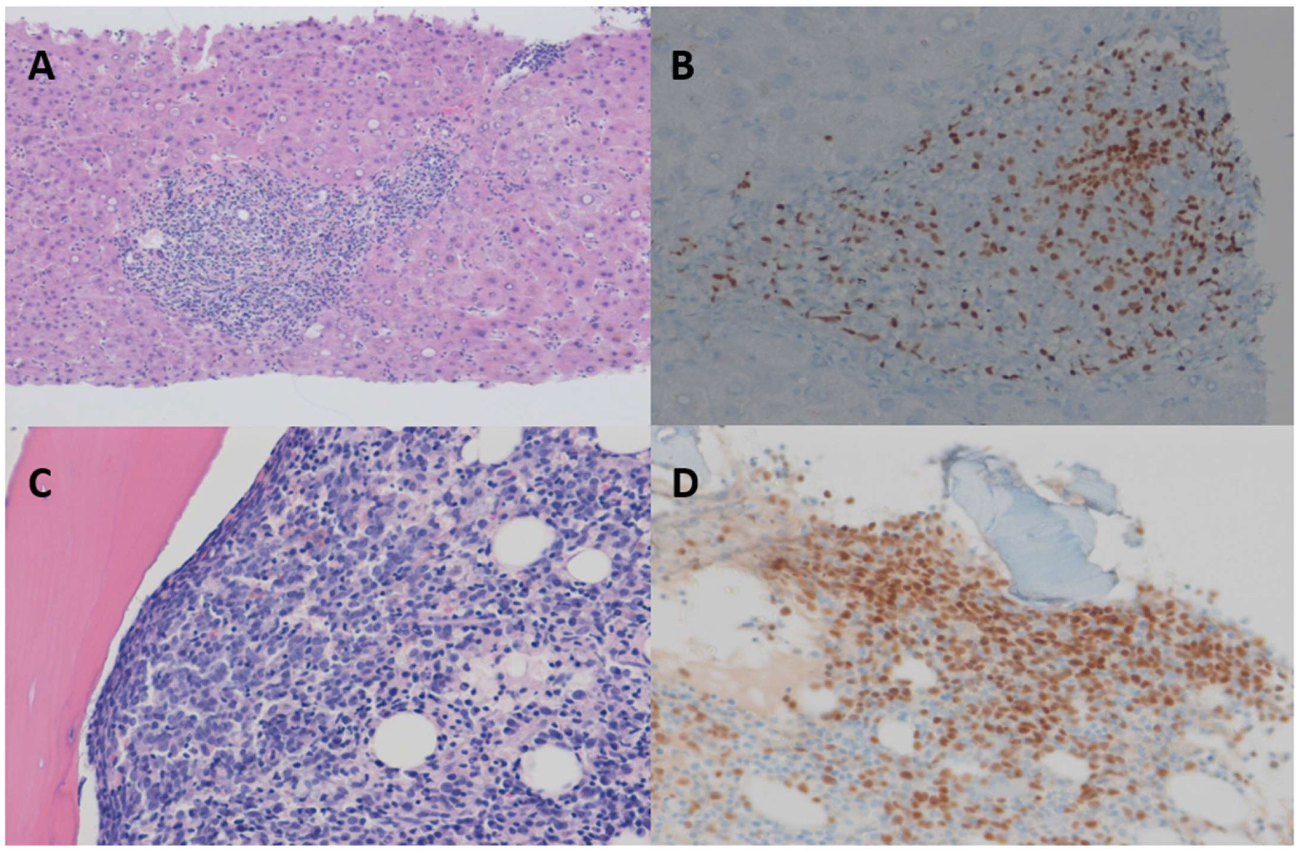 Medicina 59 00077 g002