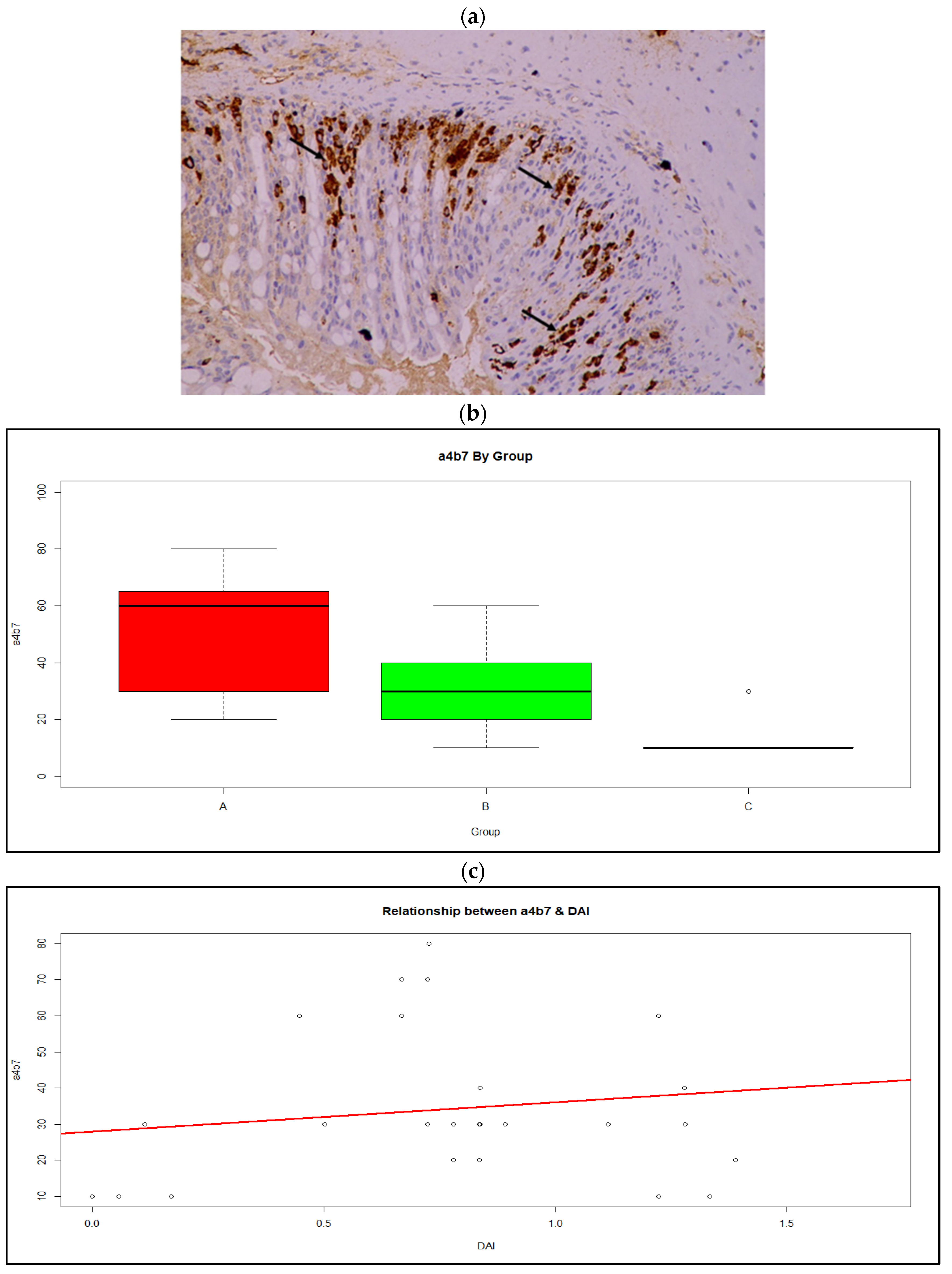 Medicina 59 00087 g006