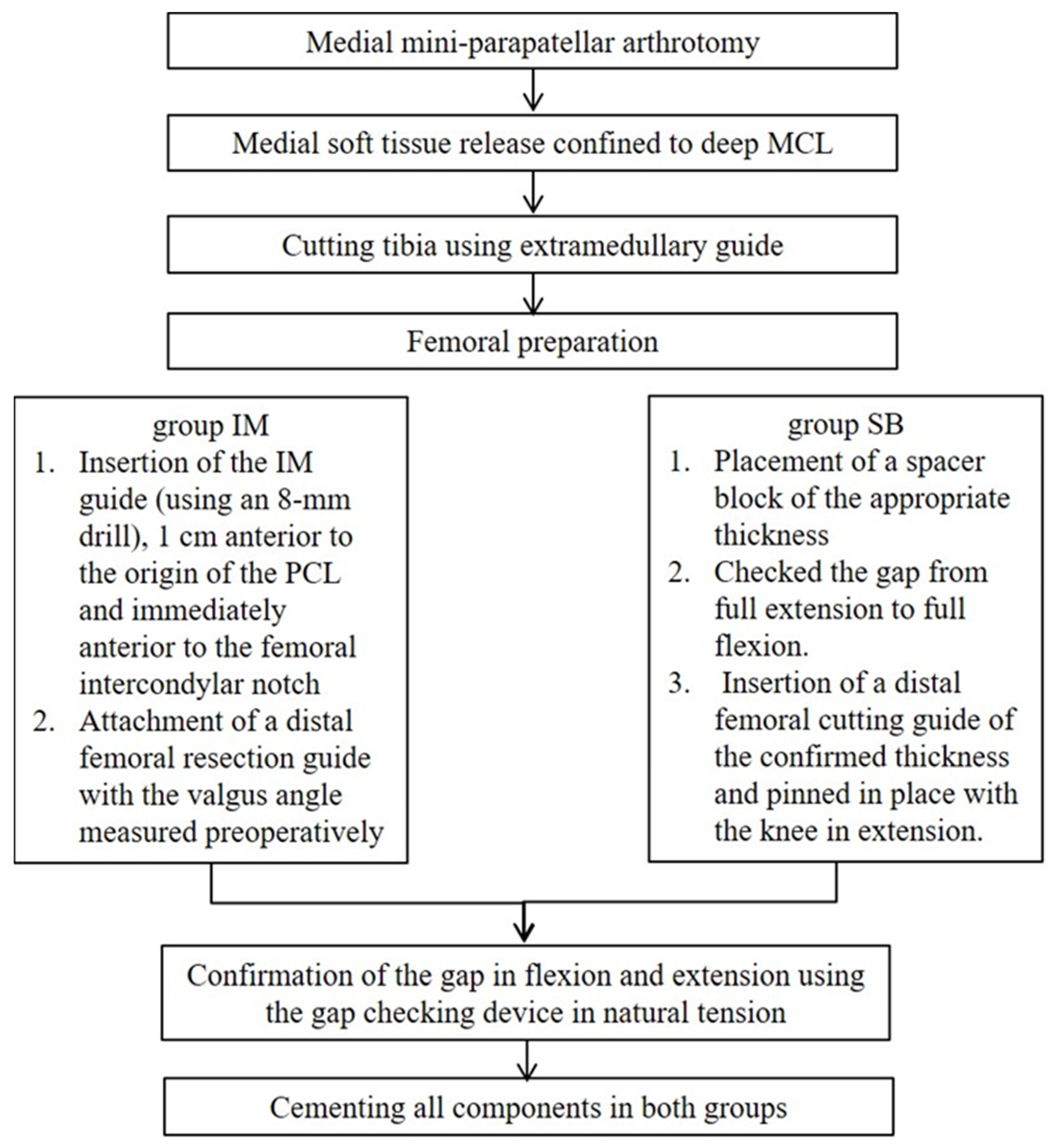 Medicina 59 00089 g001 Medicina 59 00089 g001