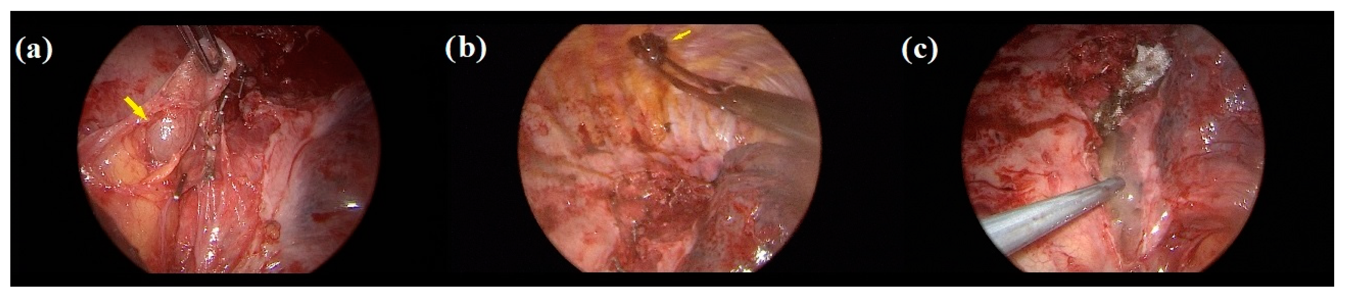 Medicina 59 00091 g003