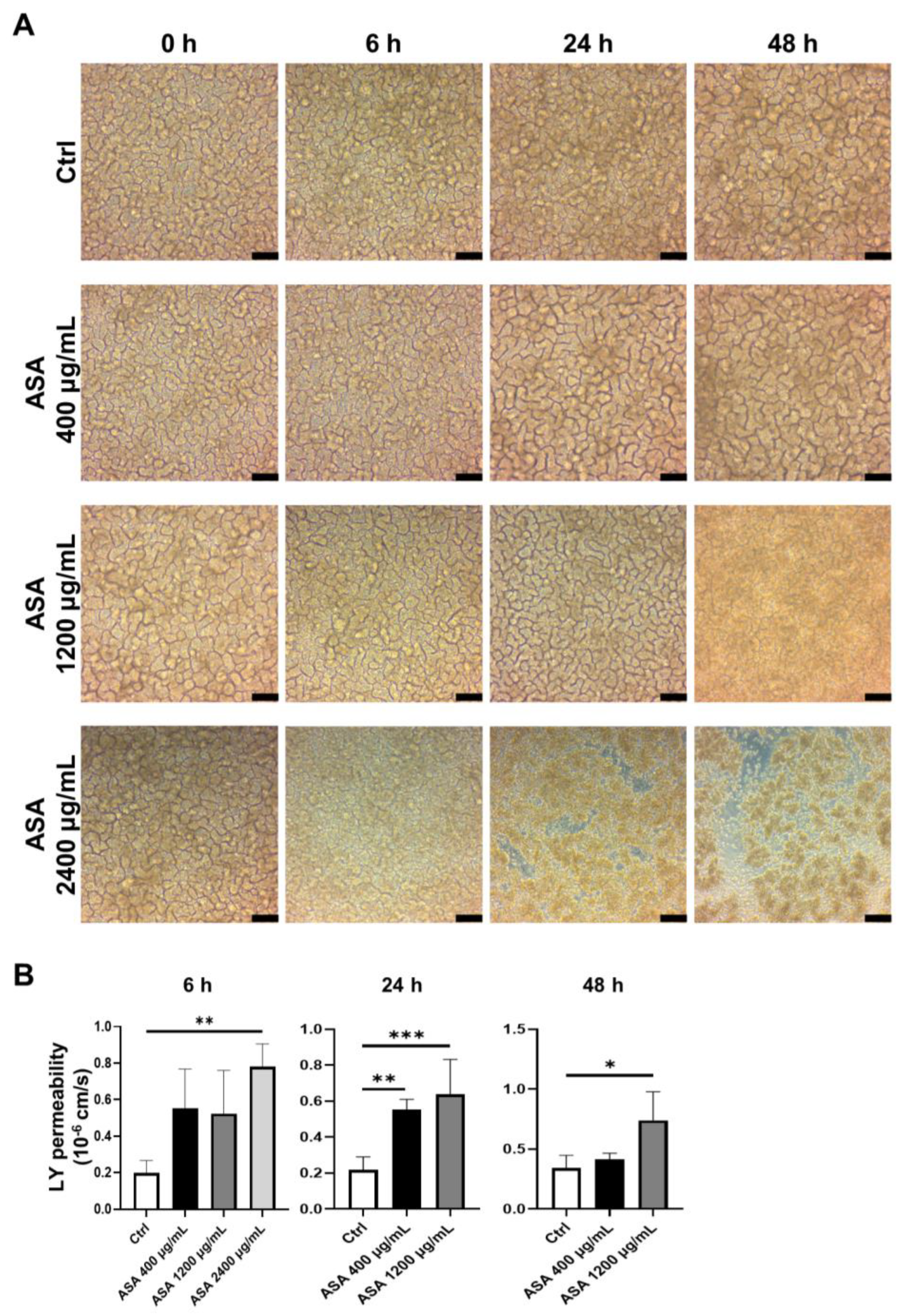 Medicina 59 00092 g002 Medicina 59 00092 g002