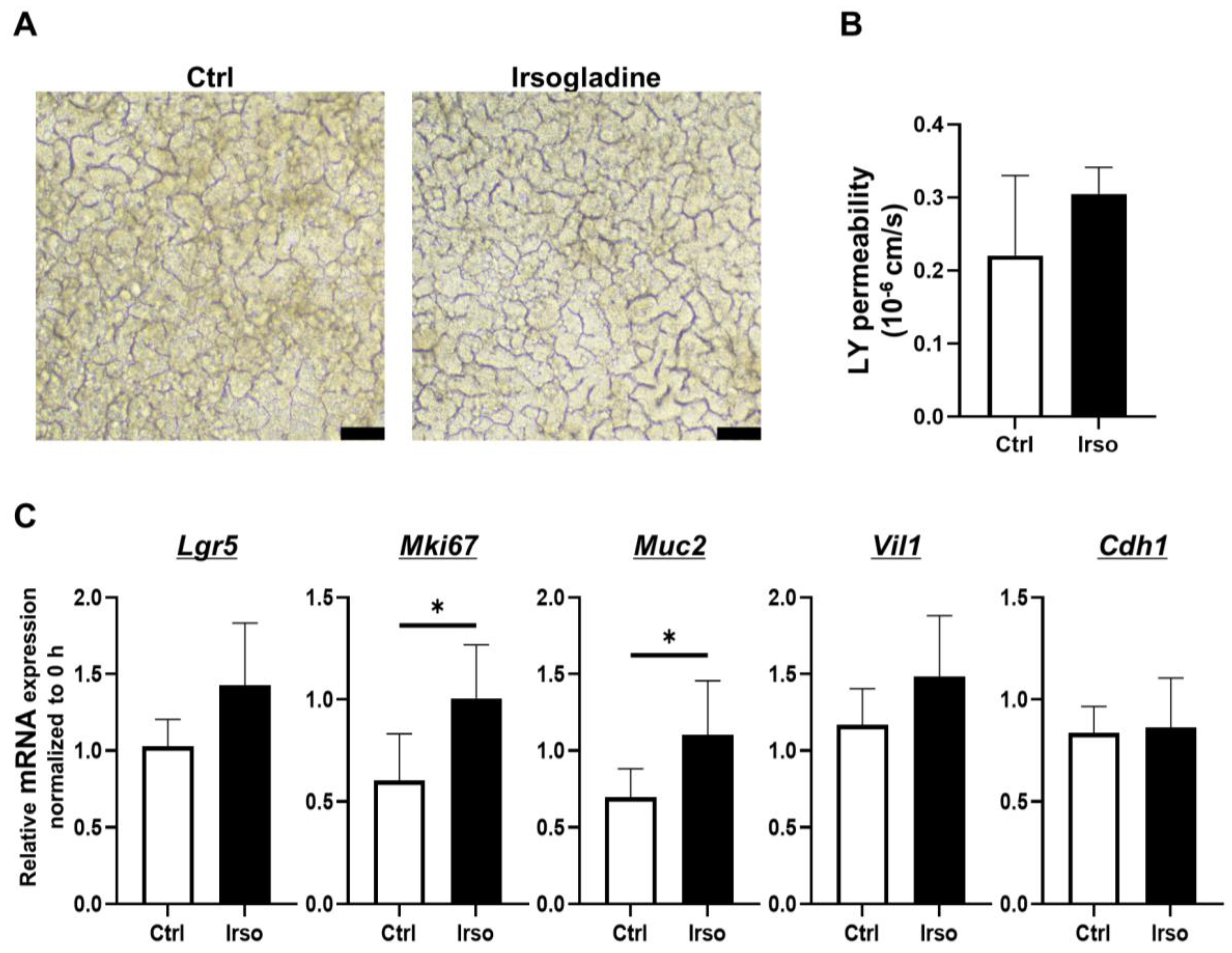 Medicina 59 00092 g004 Medicina 59 00092 g004