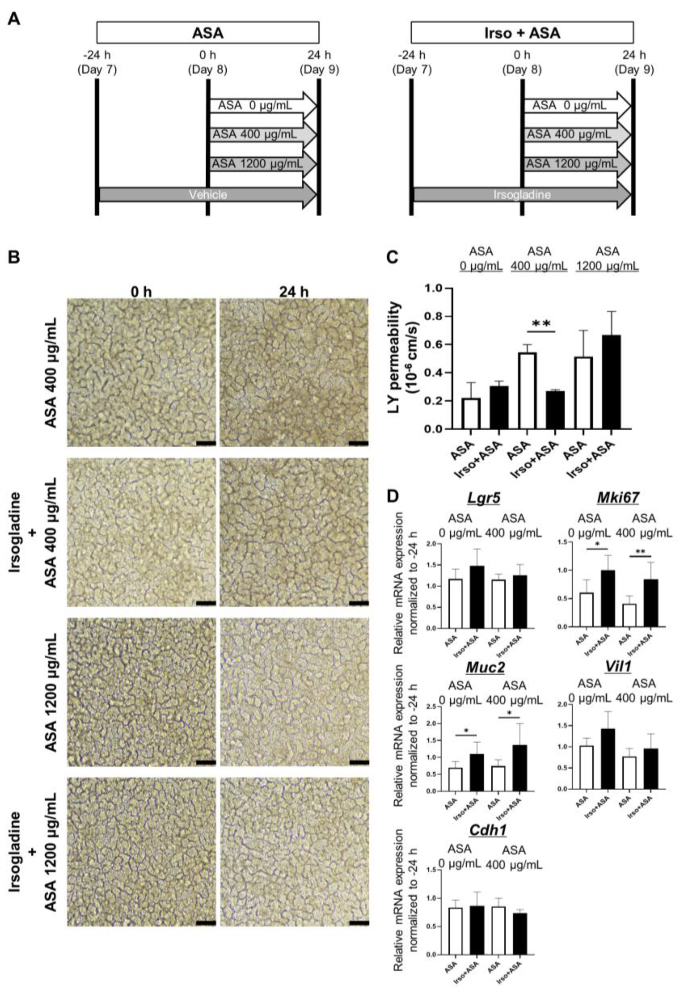 Medicina 59 00092 g005 Medicina 59 00092 g005
