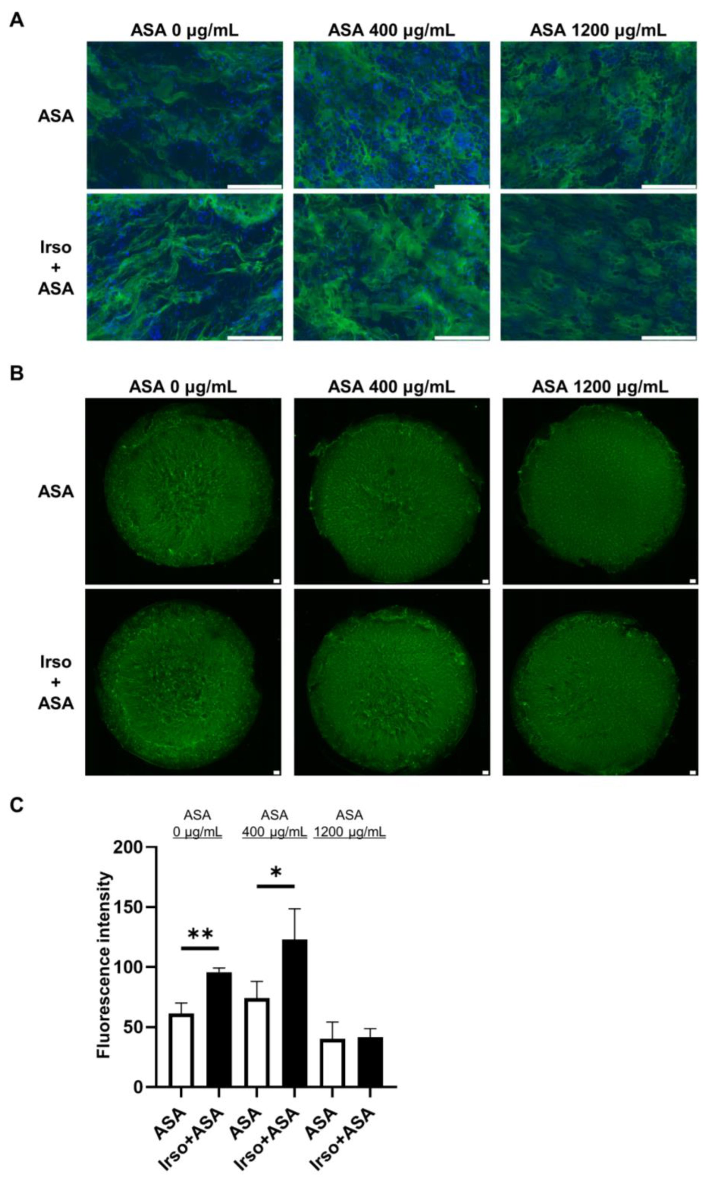 Medicina 59 00092 g006 Medicina 59 00092 g006