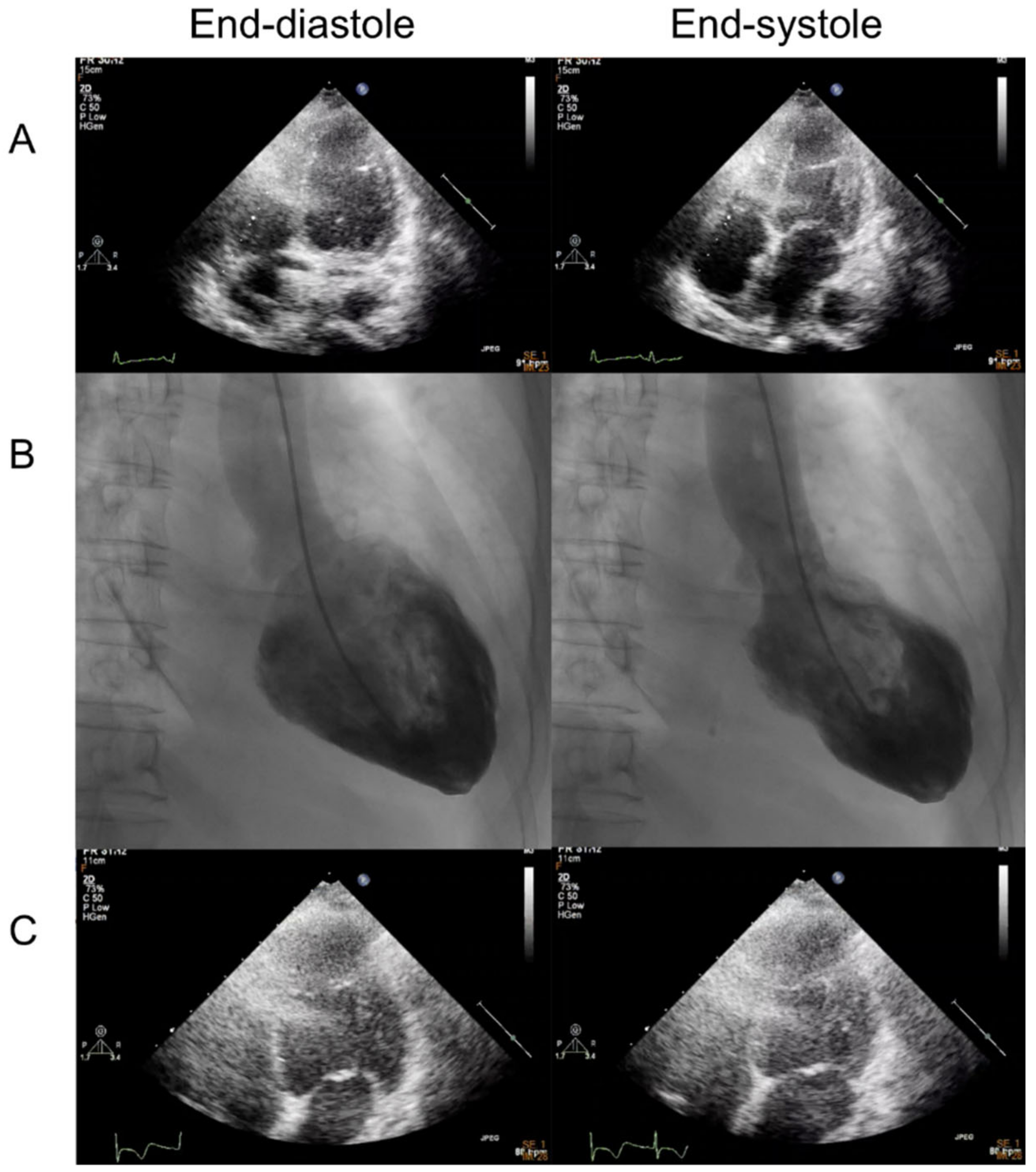 Medicina 59 00094 g002 550