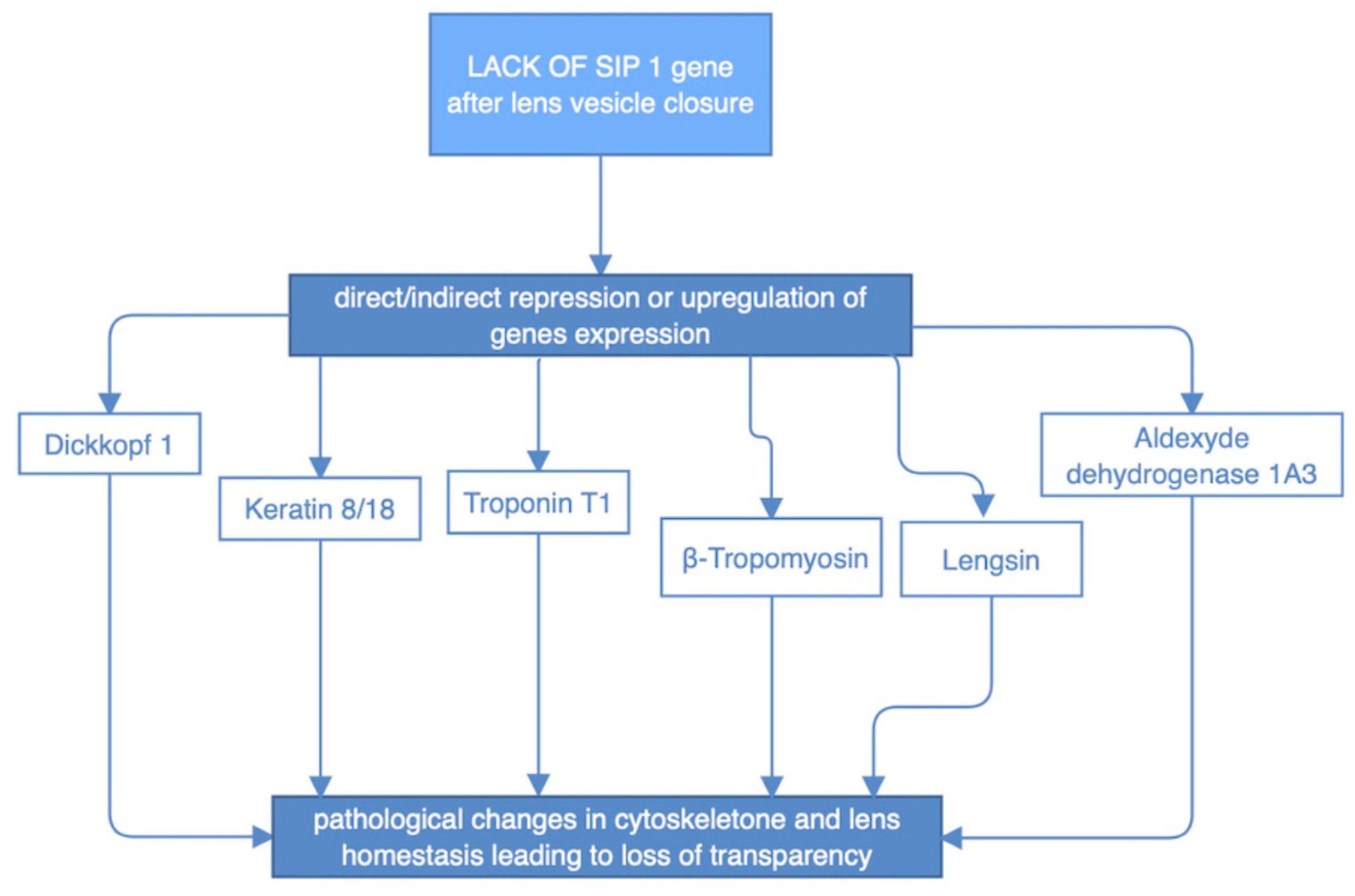 Medicina 59 00101 g008 Medicina 59 00101 g008