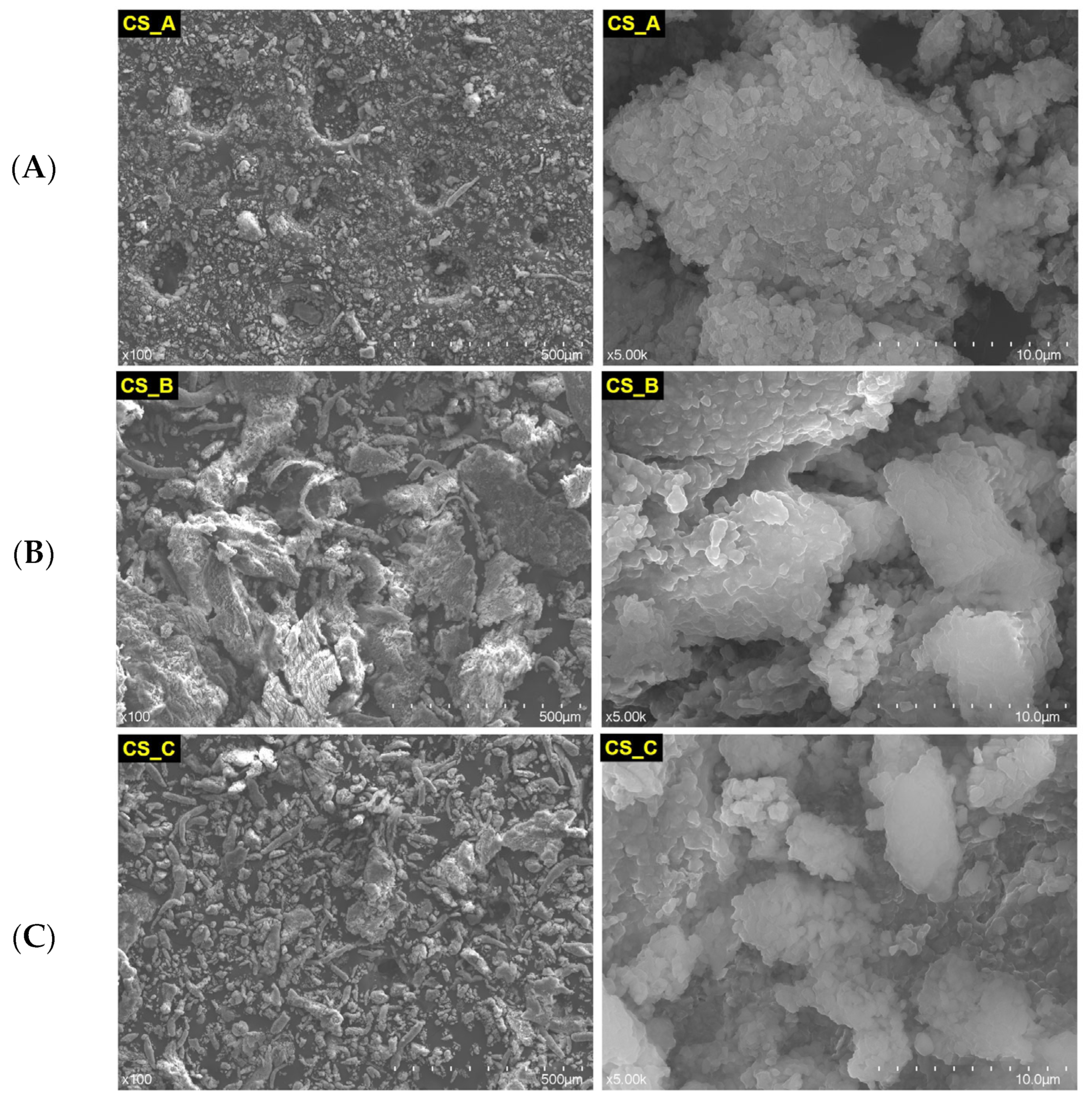 Medicina 59 00104 g002