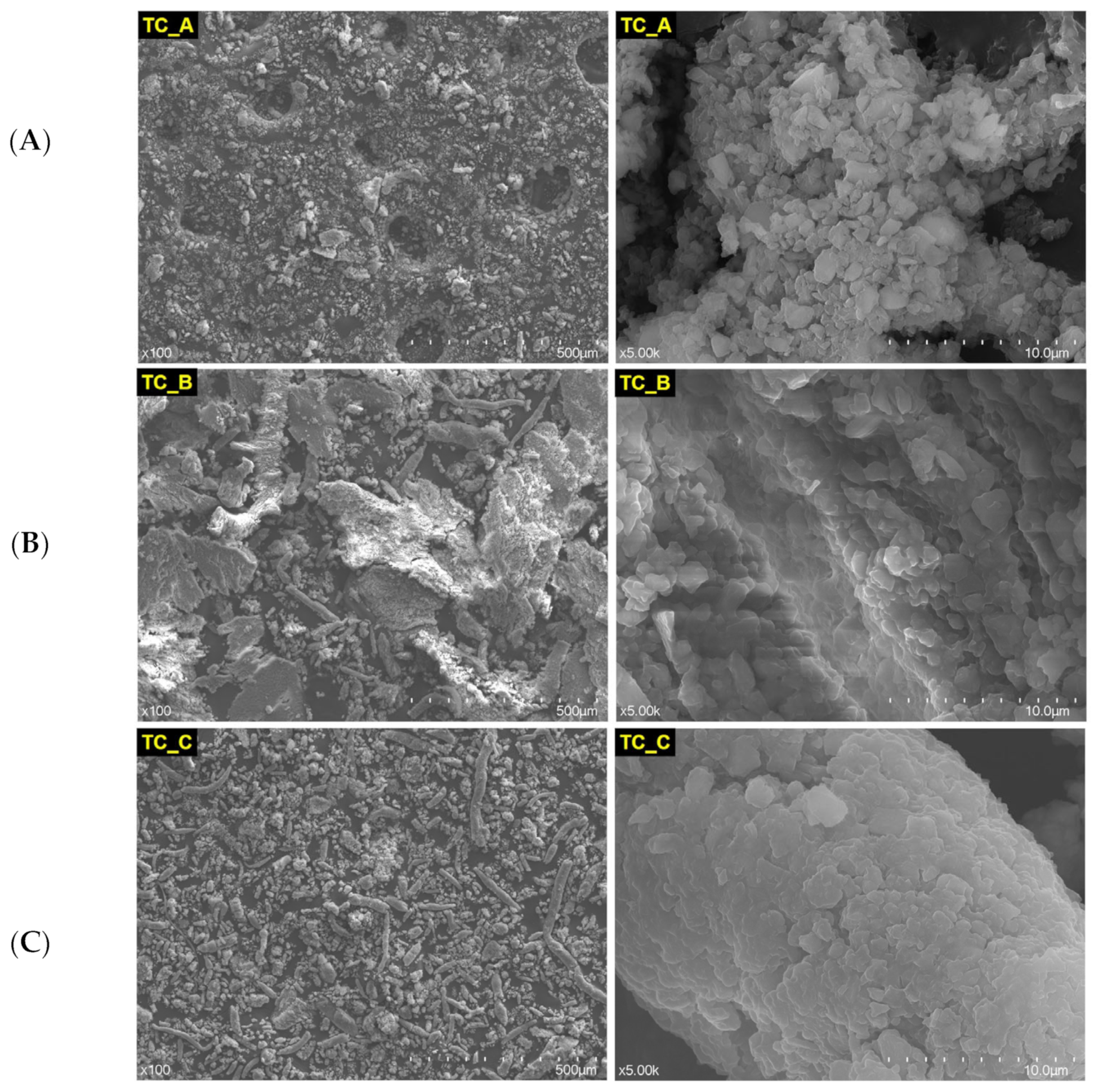 Medicina 59 00104 g004